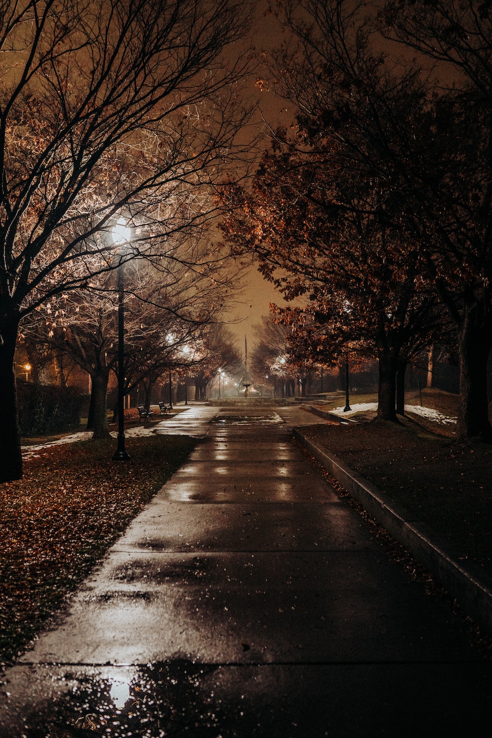 Autumn Night Wallpapers