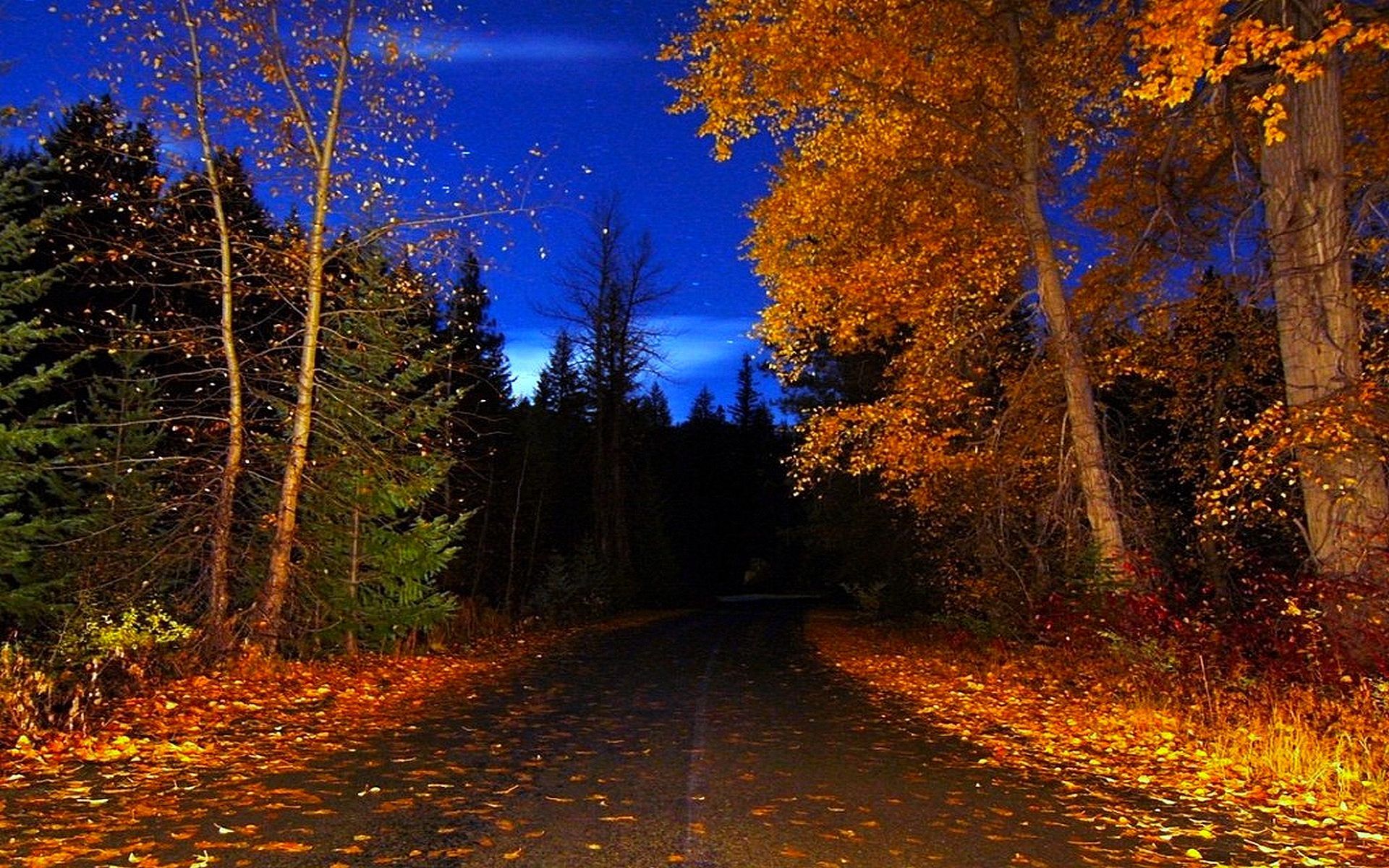 Autumn Night Wallpapers