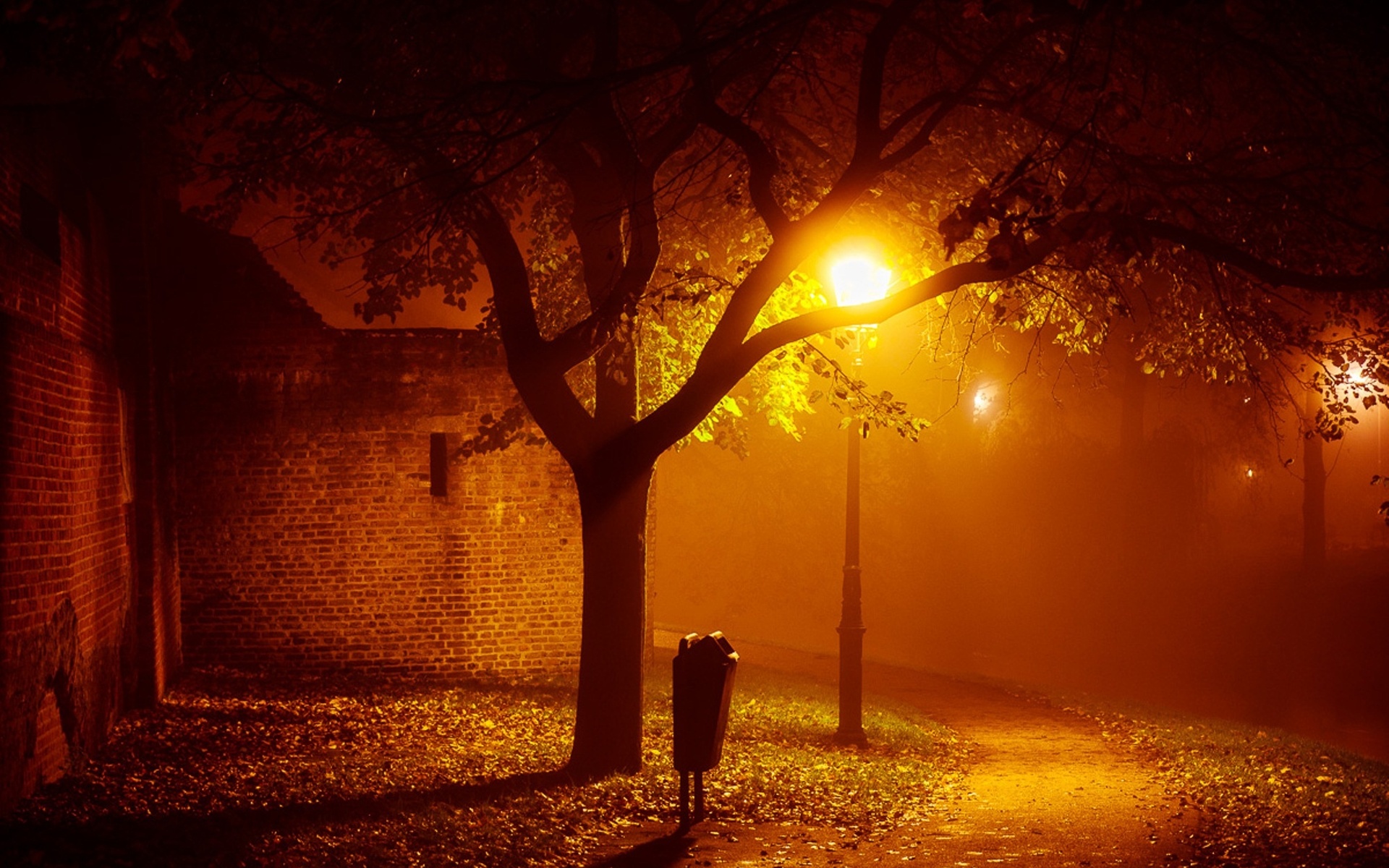 Autumn Night Wallpapers