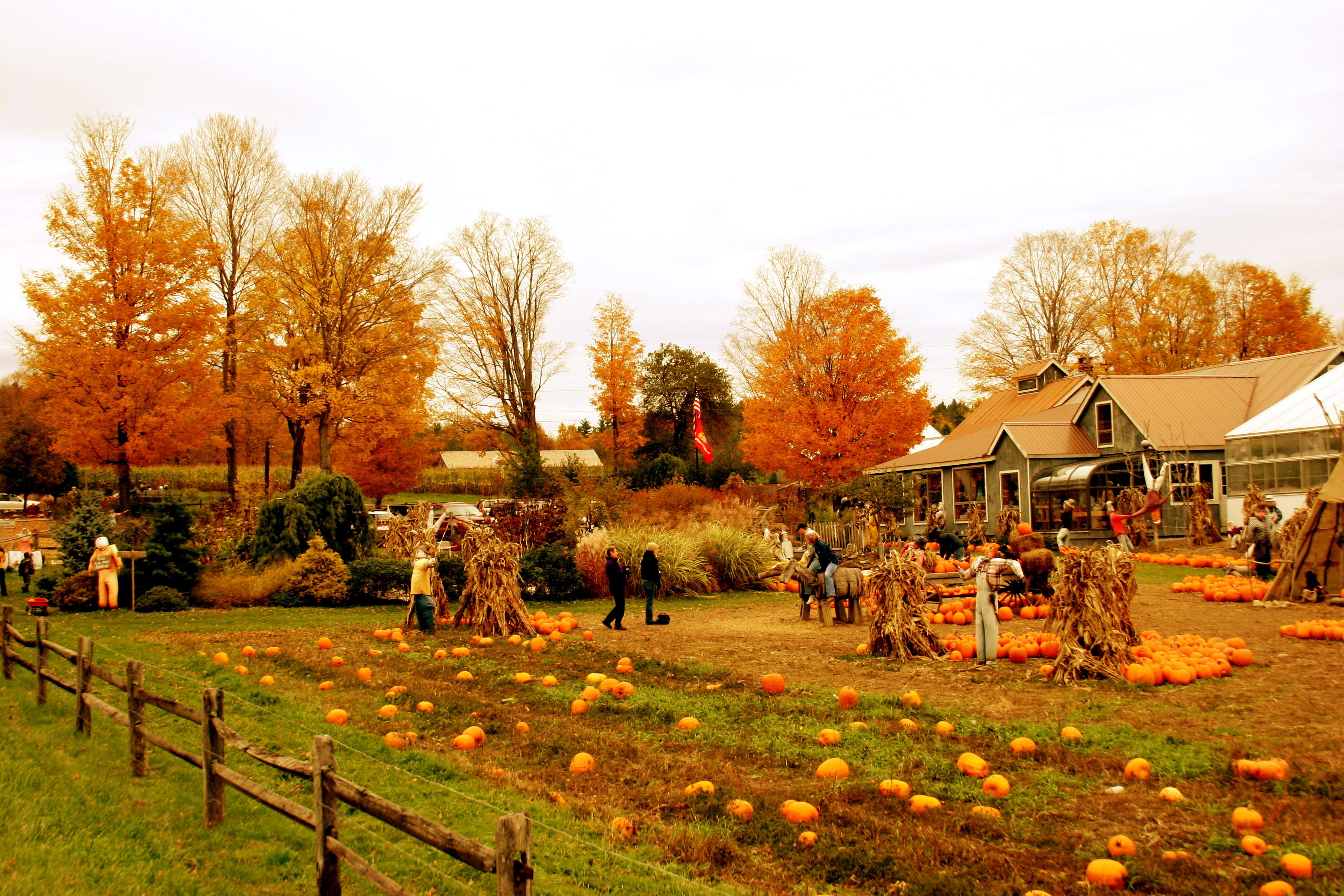 Autumn On The Farm Wallpapers