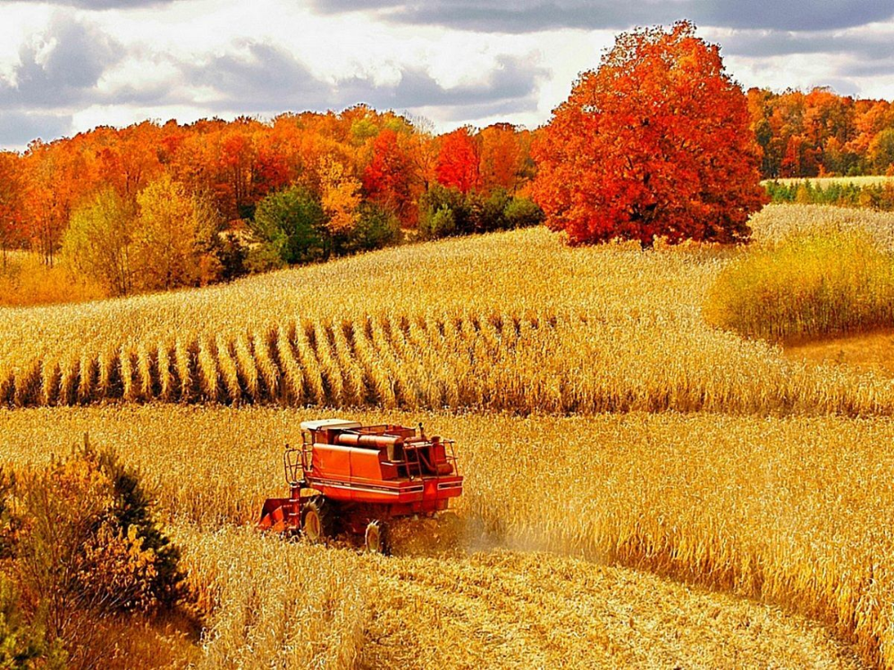 Autumn On The Farm Wallpapers