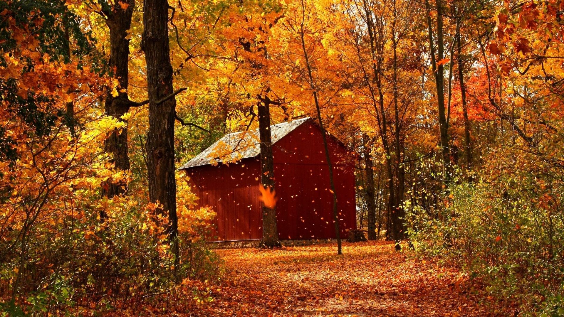 Autumn On The Farm Wallpapers