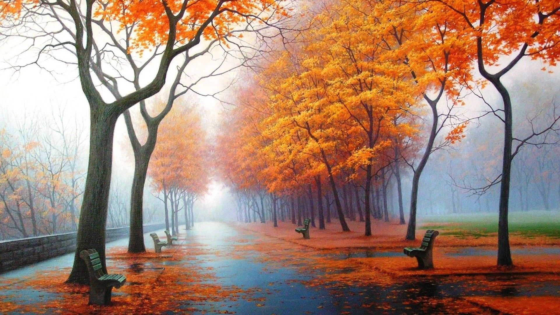 Autumn Rain Wallpapers