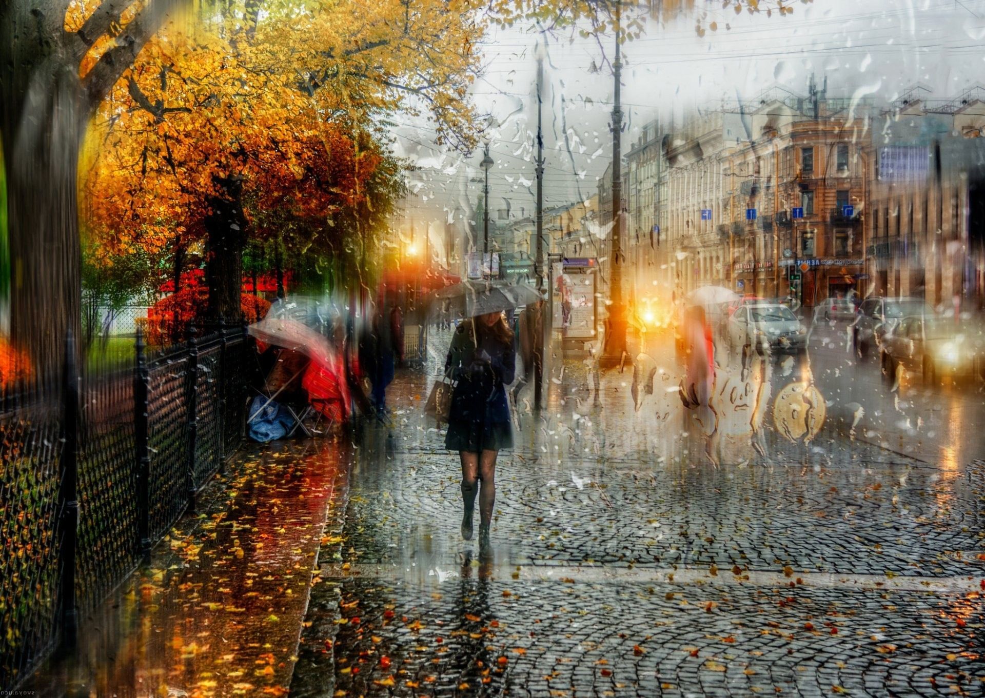 Autumn Rain Wallpapers