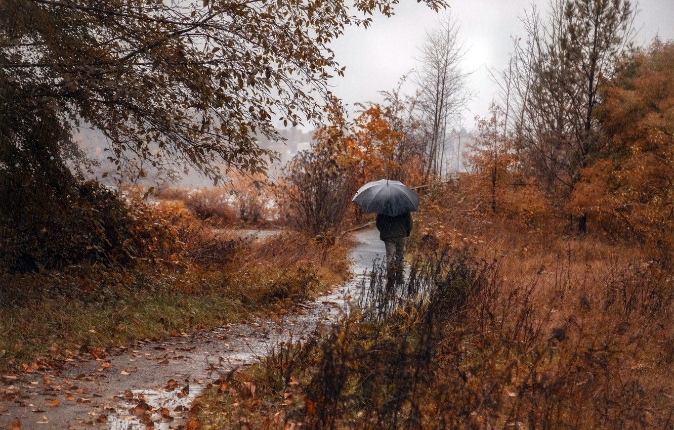 Autumn Rain Wallpapers