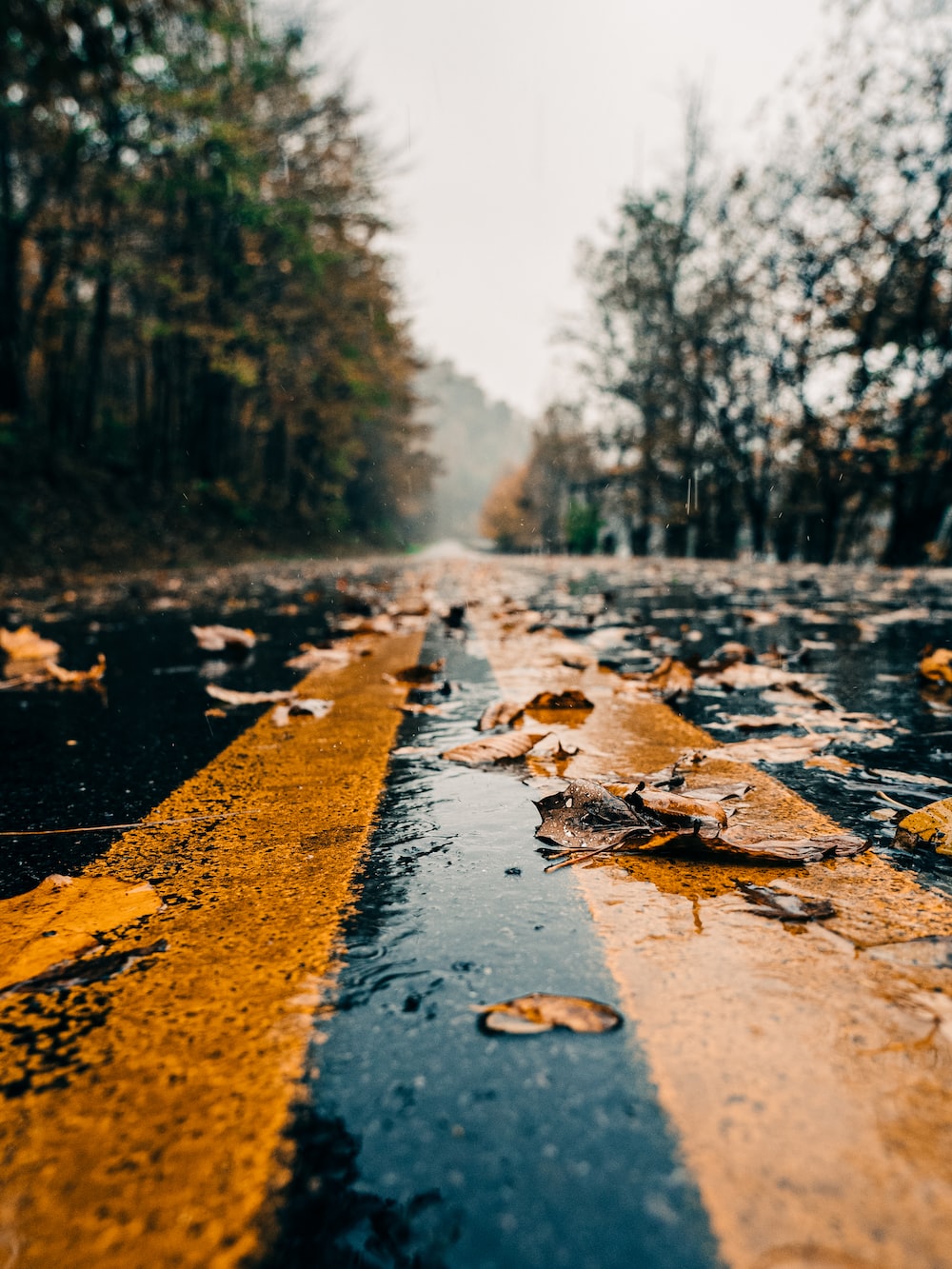 Autumn Rain Wallpapers