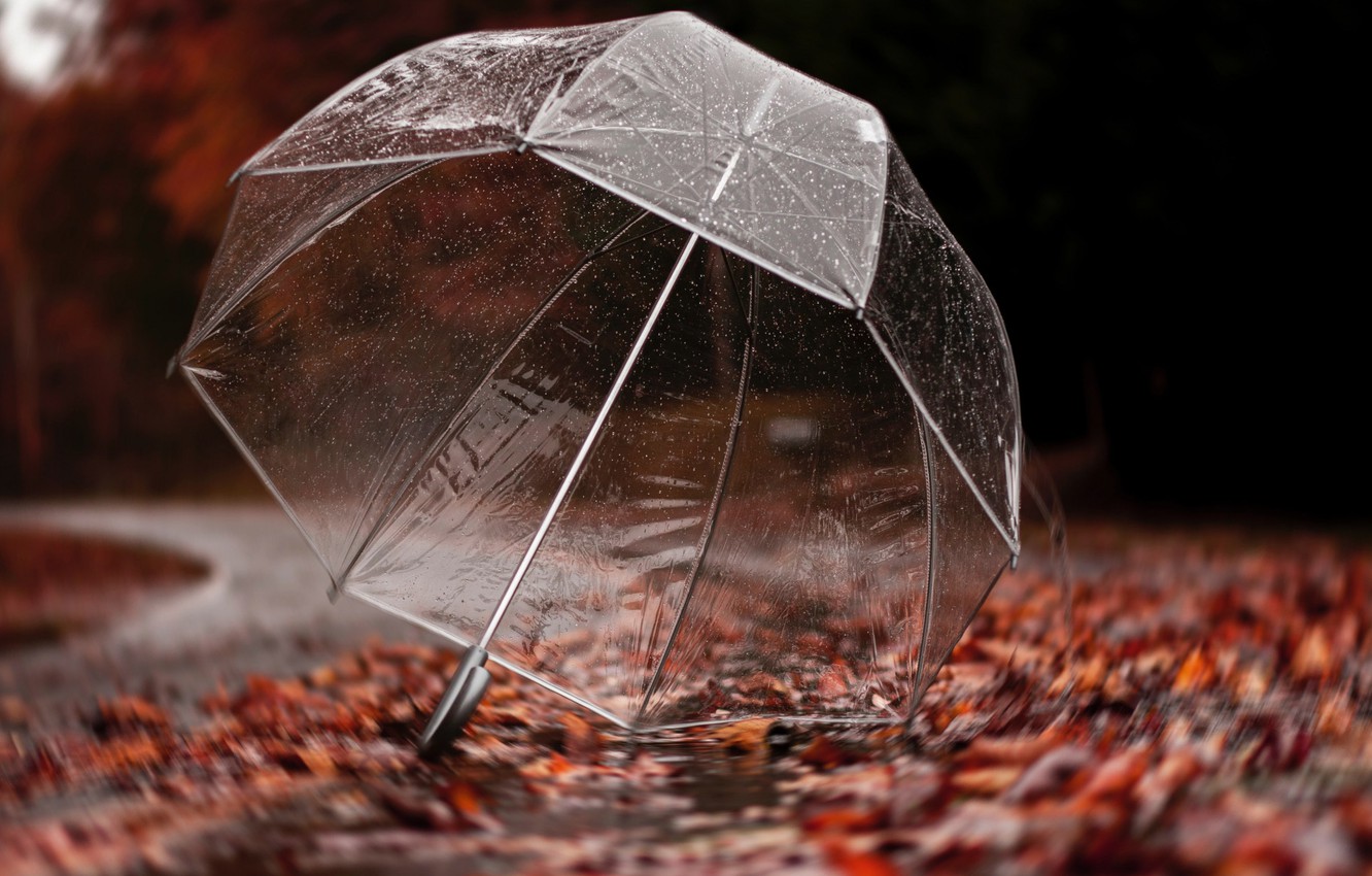 Autumn Rain Wallpapers