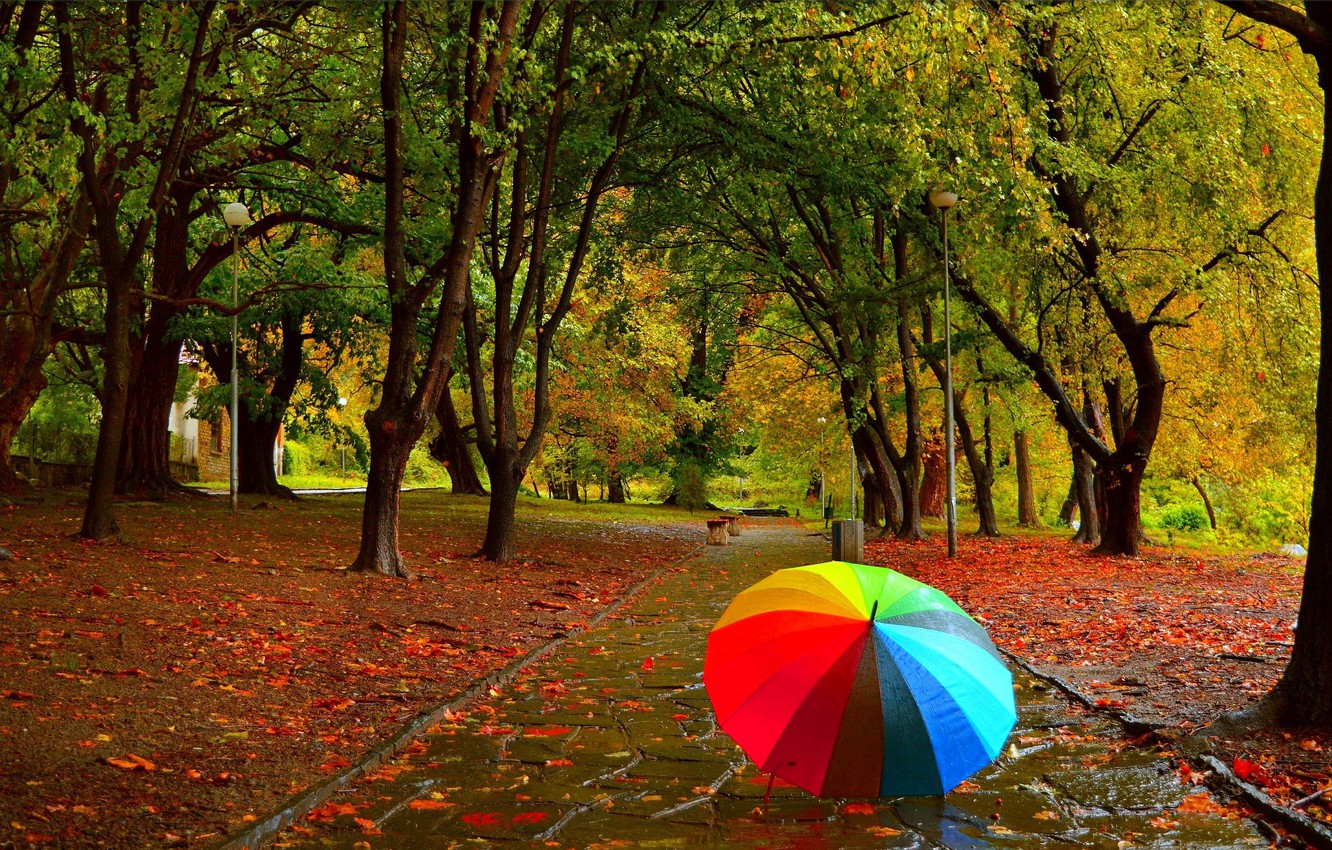 Autumn Rain Wallpapers