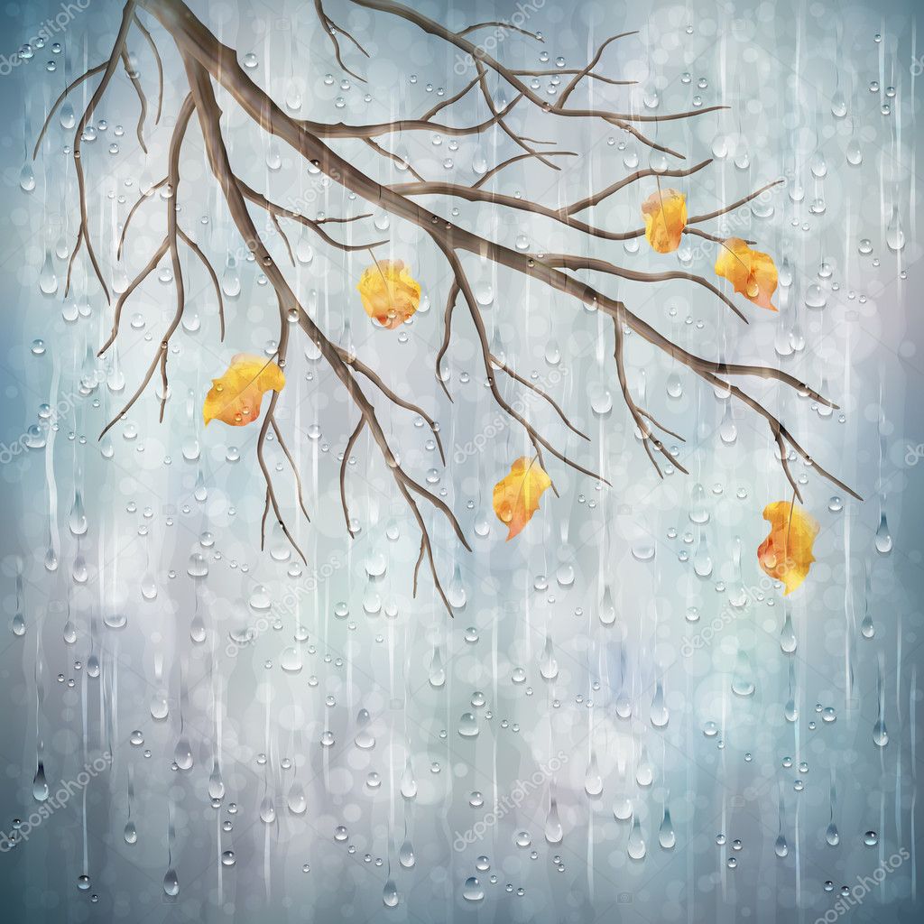 Autumn Rain Wallpapers