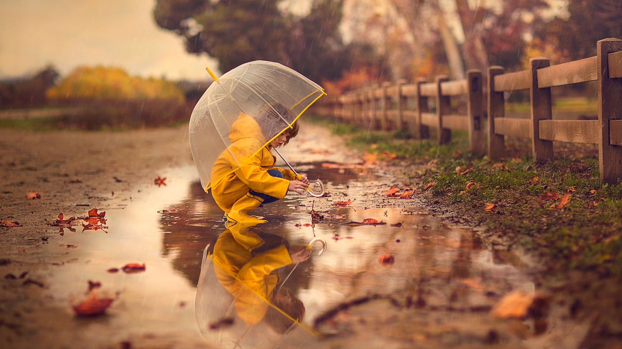 Autumn Rain Wallpapers