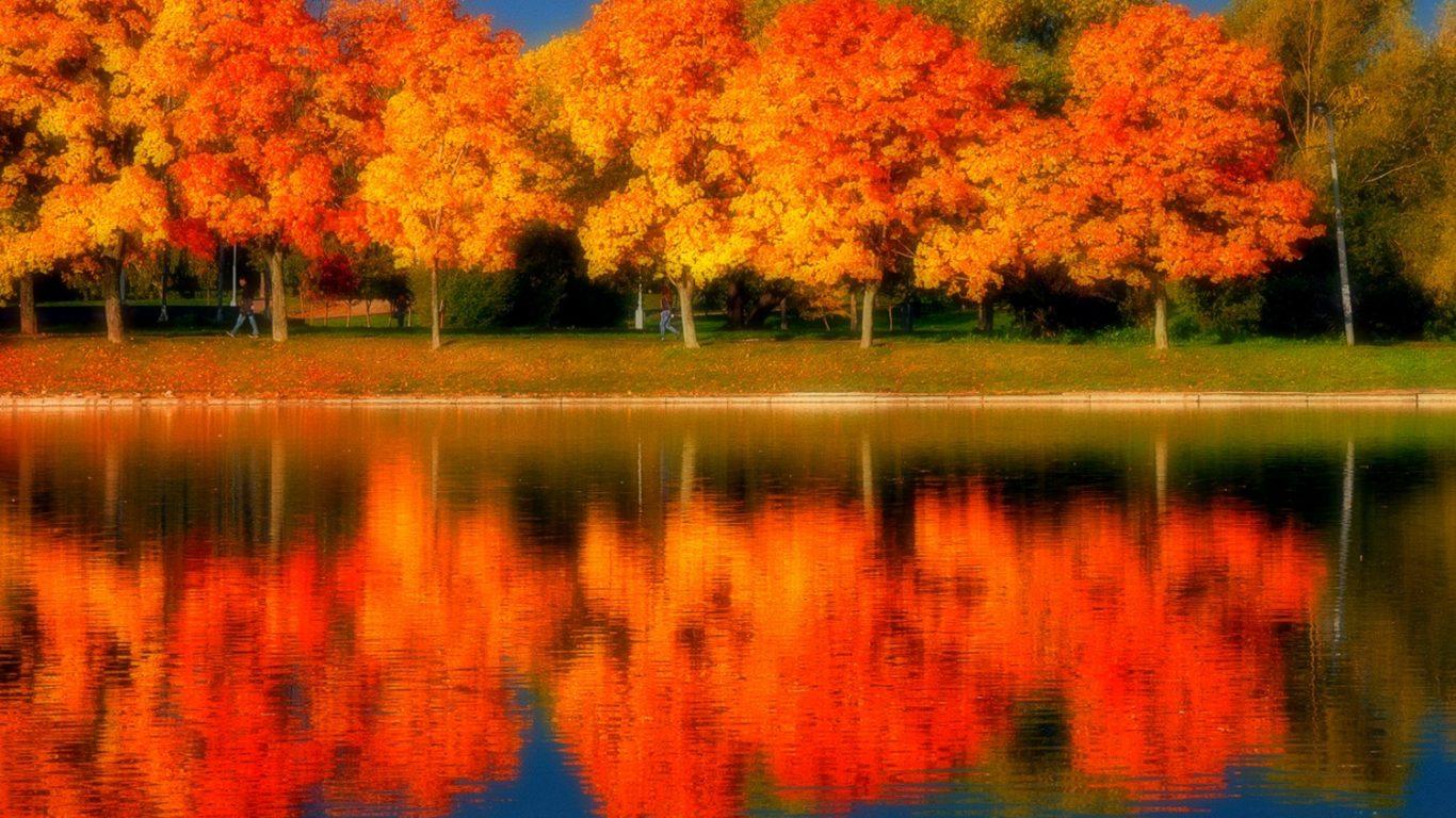 Autumn Reflection Wallpapers