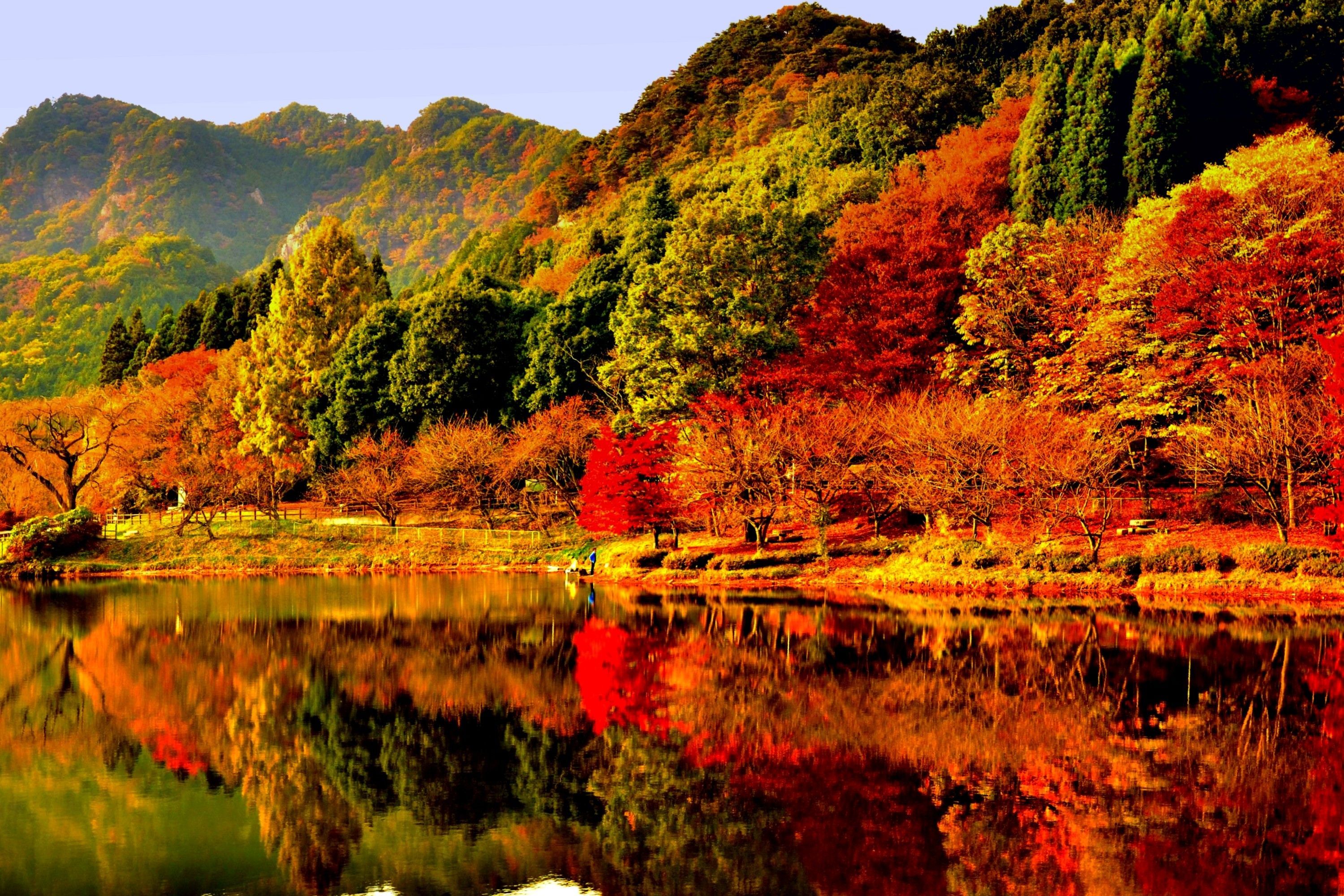 Autumn Reflection Wallpapers