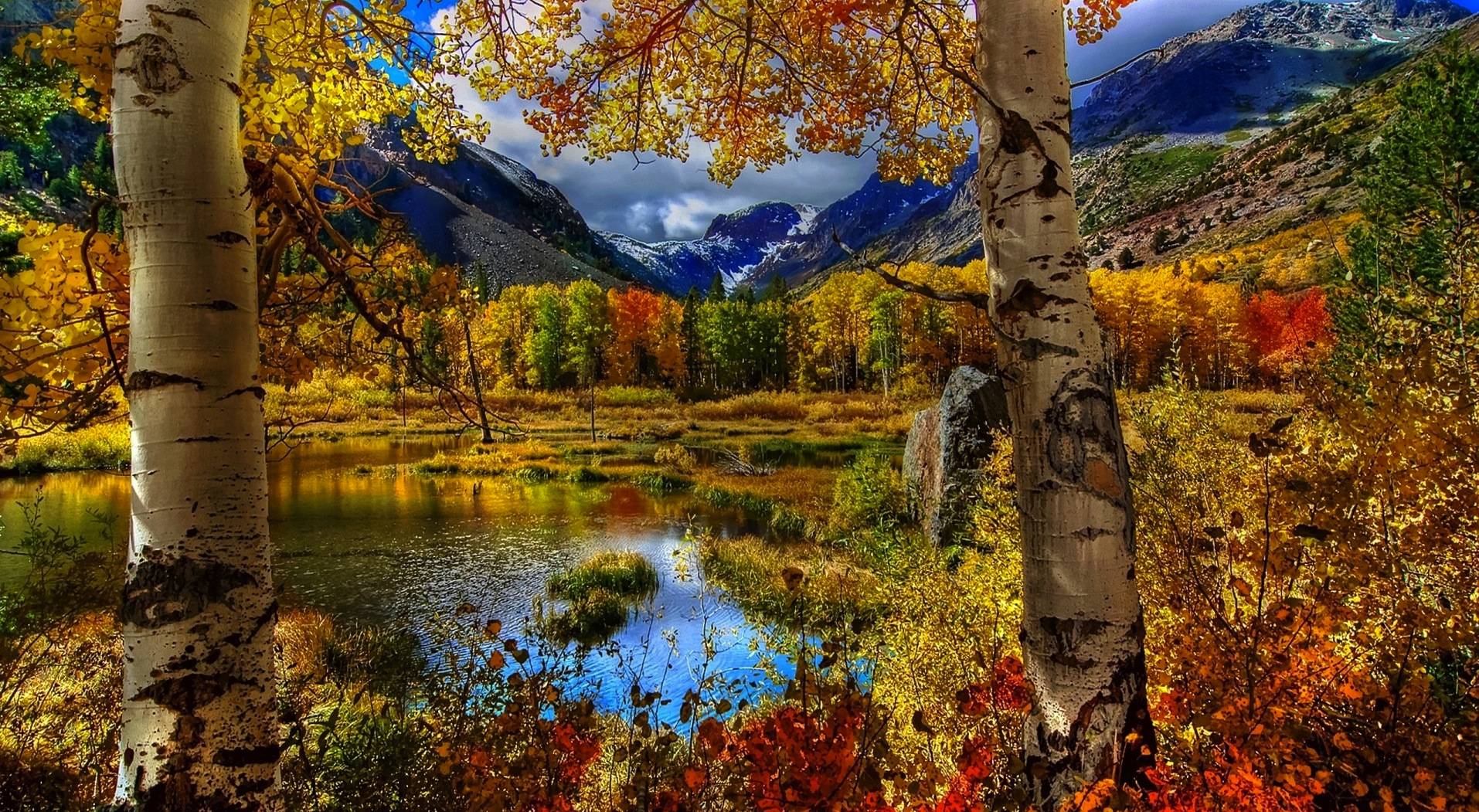 Autumn Scenes Wallpapers