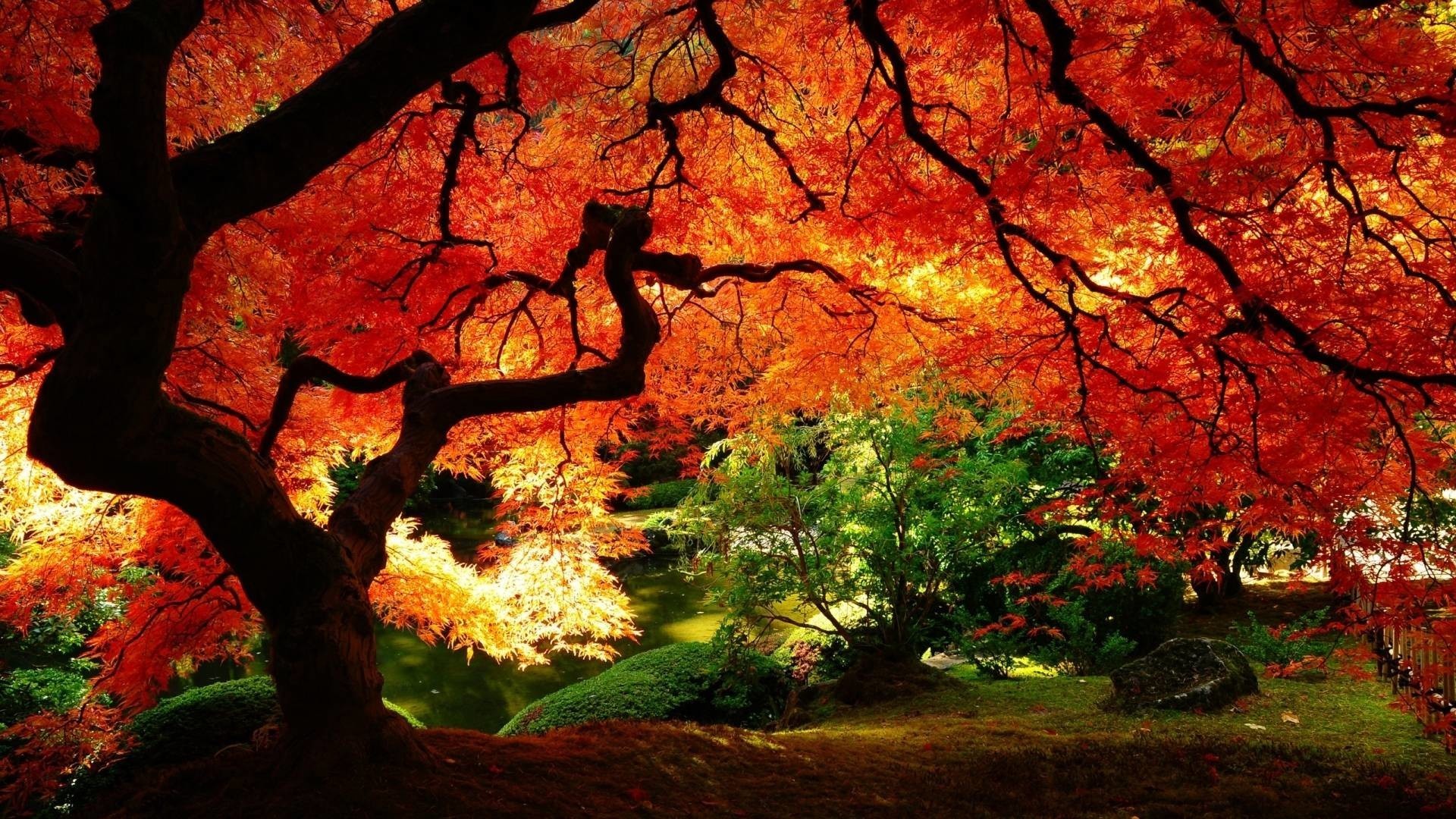 Autumn Scenes Wallpapers