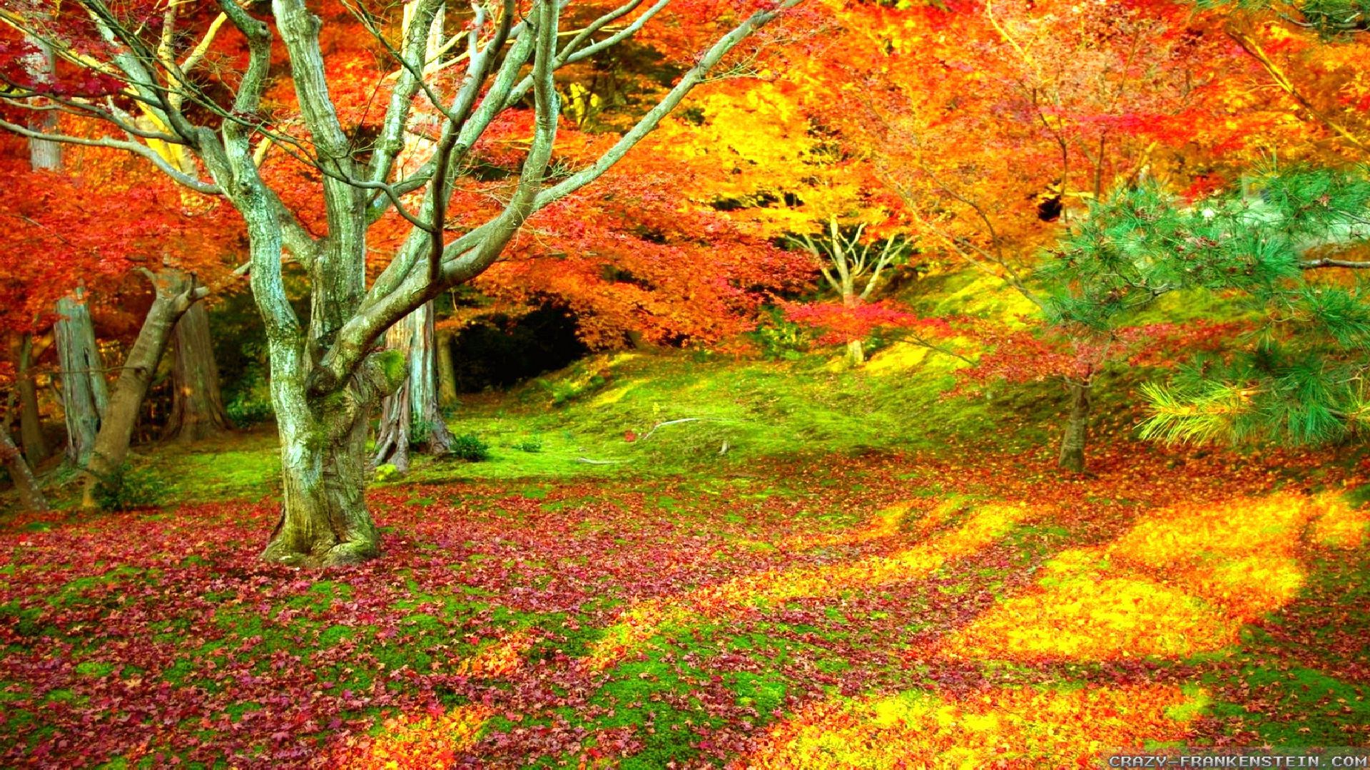 Autumn Scenes Wallpapers