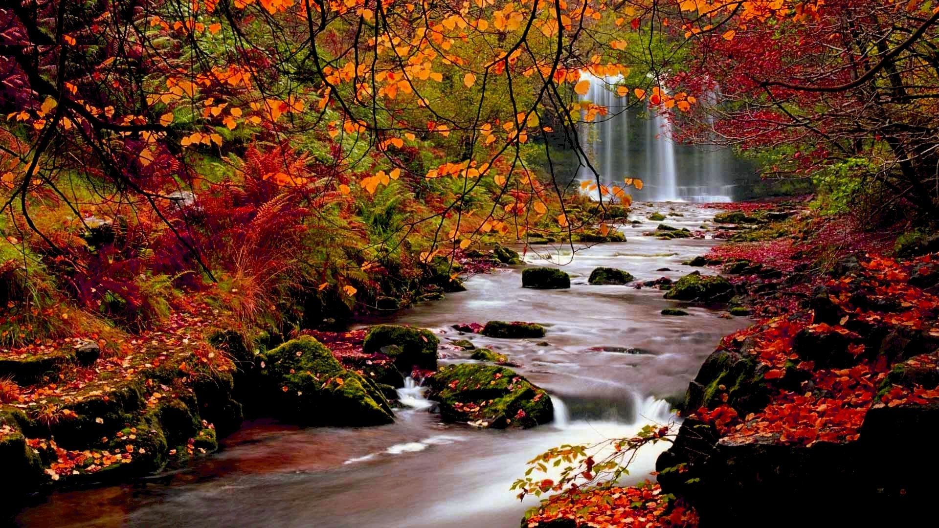 Autumn Scenes Wallpapers