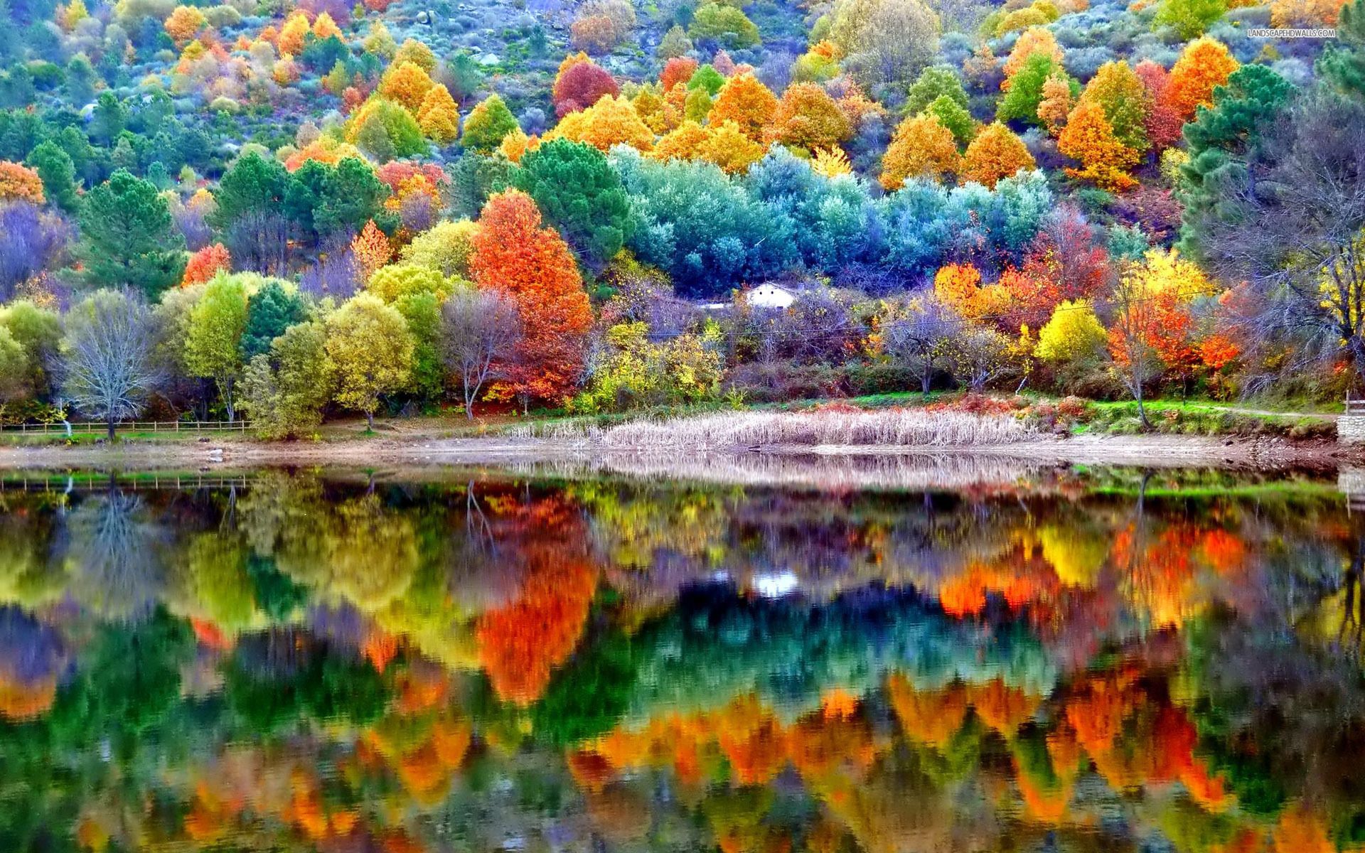 Autumn Scenes Wallpapers