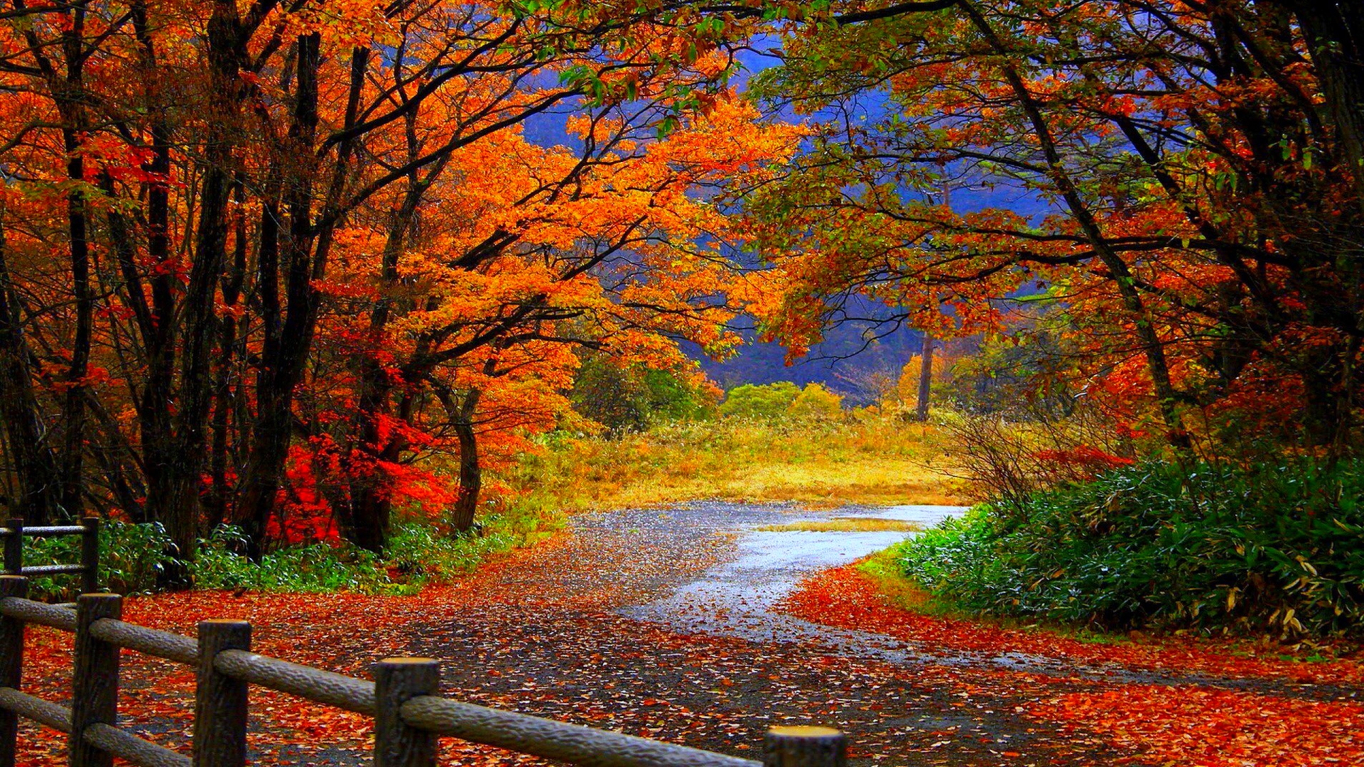 Autumn Season Hd Wallpapers