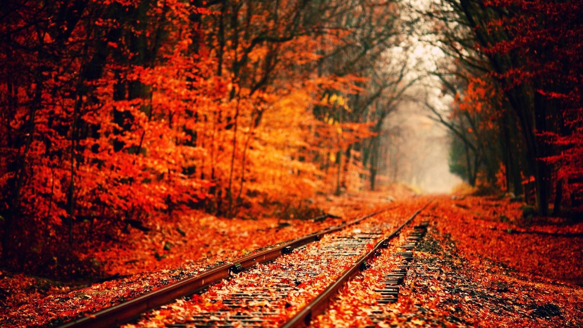 Autumn Season Hd Wallpapers