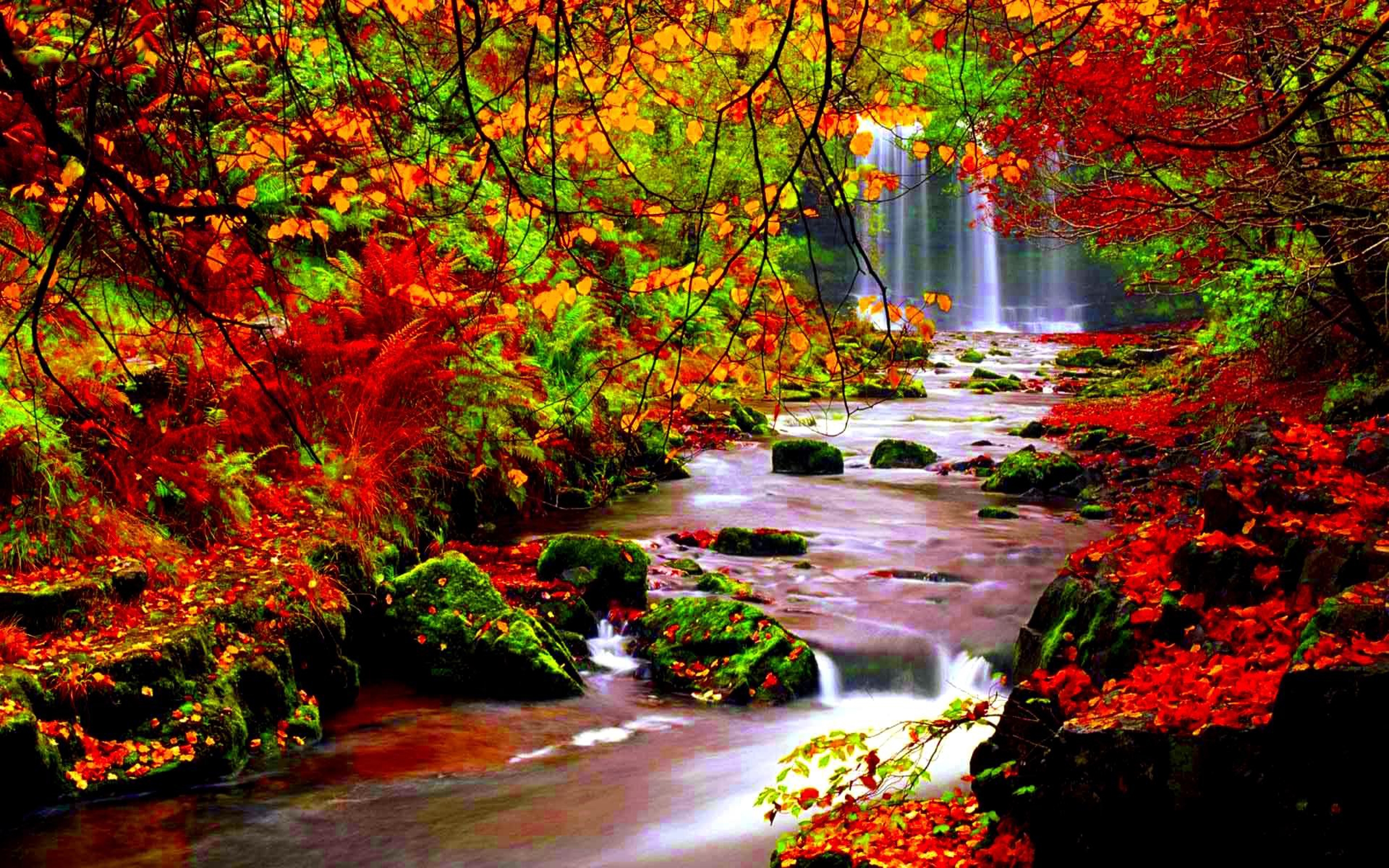 Autumn Season Hd Wallpapers