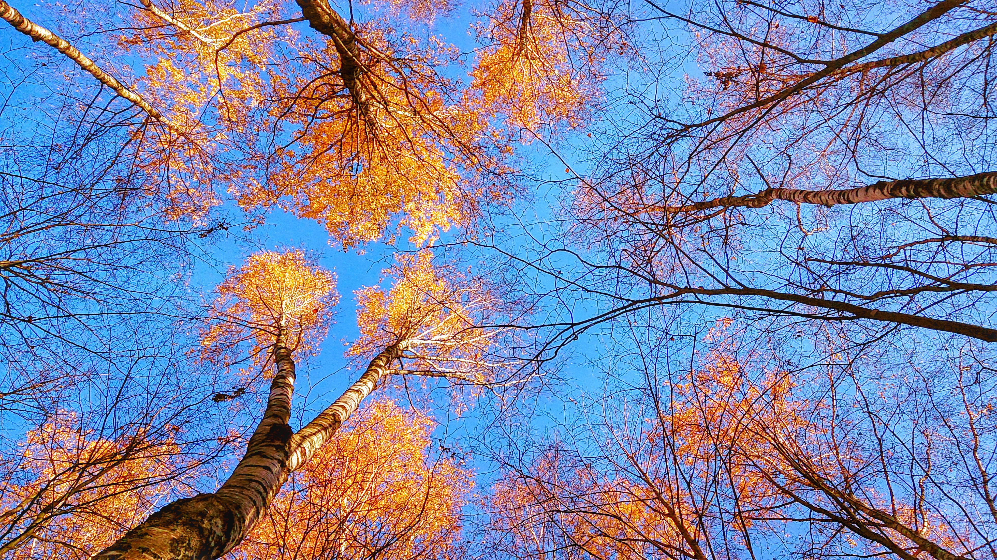 Autumn Sky Wallpapers