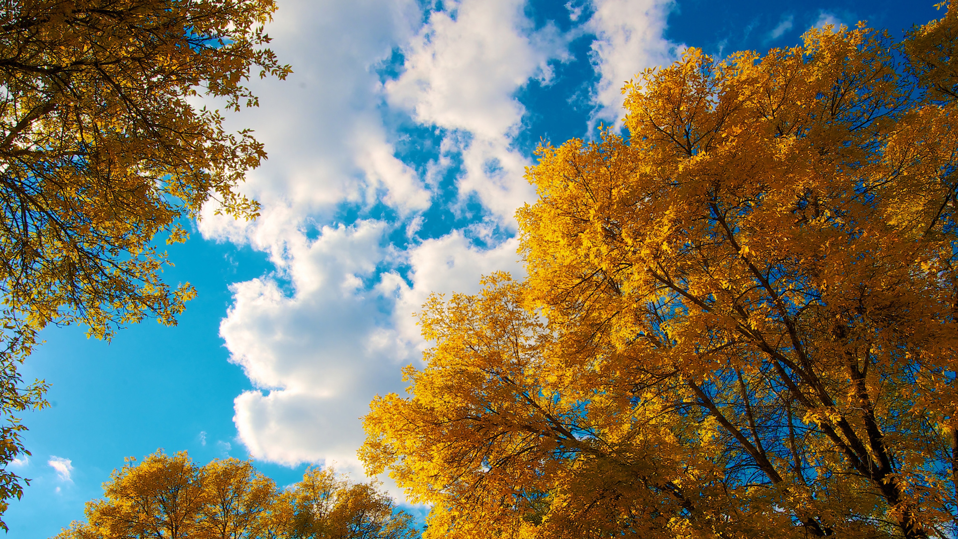 Autumn Sky Wallpapers