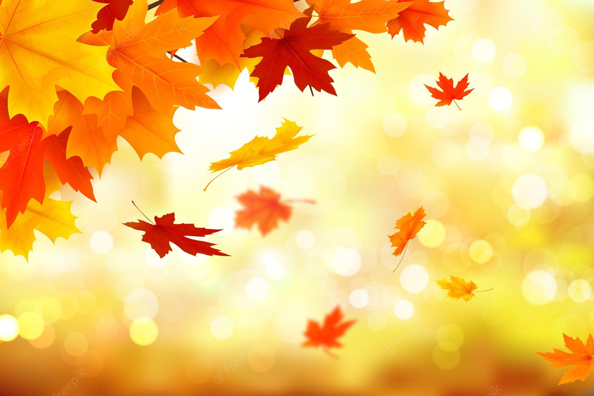 Autumn Themed Wallpapers