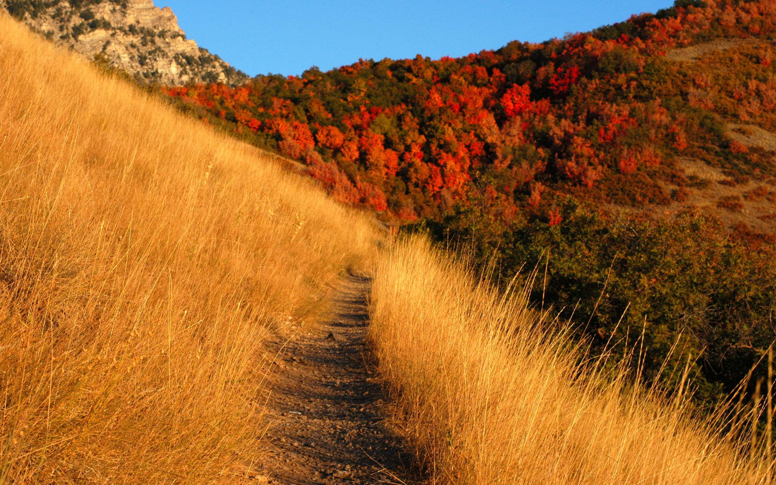 Autumn Trail Wallpapers