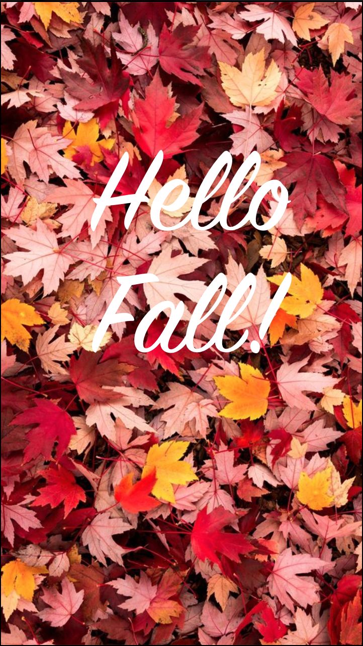 Autumn Weather Wallpapers