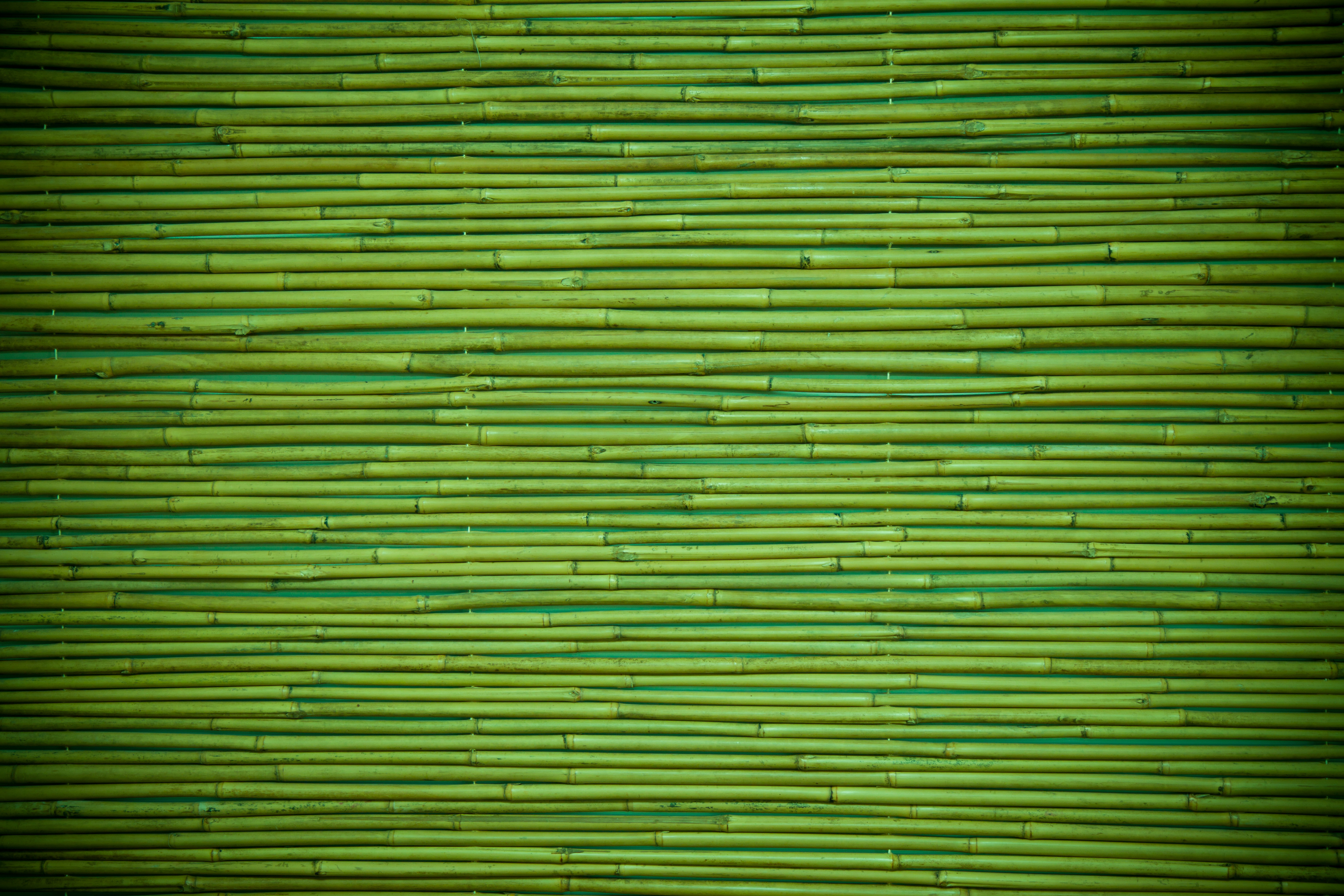 Bamboo Wallpapers