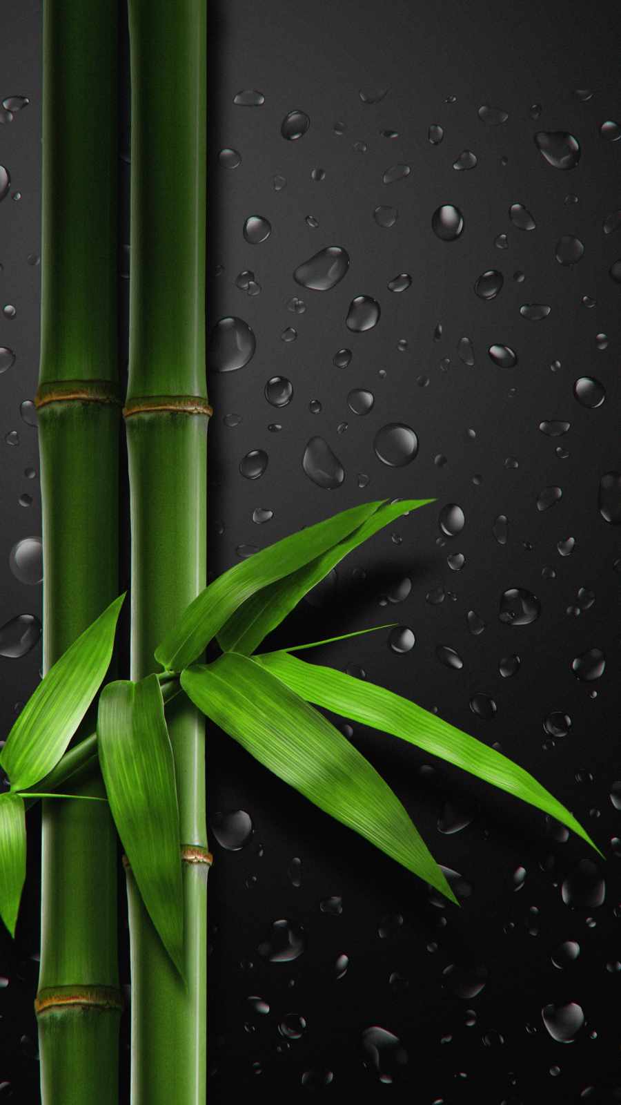 Bamboo Wallpapers