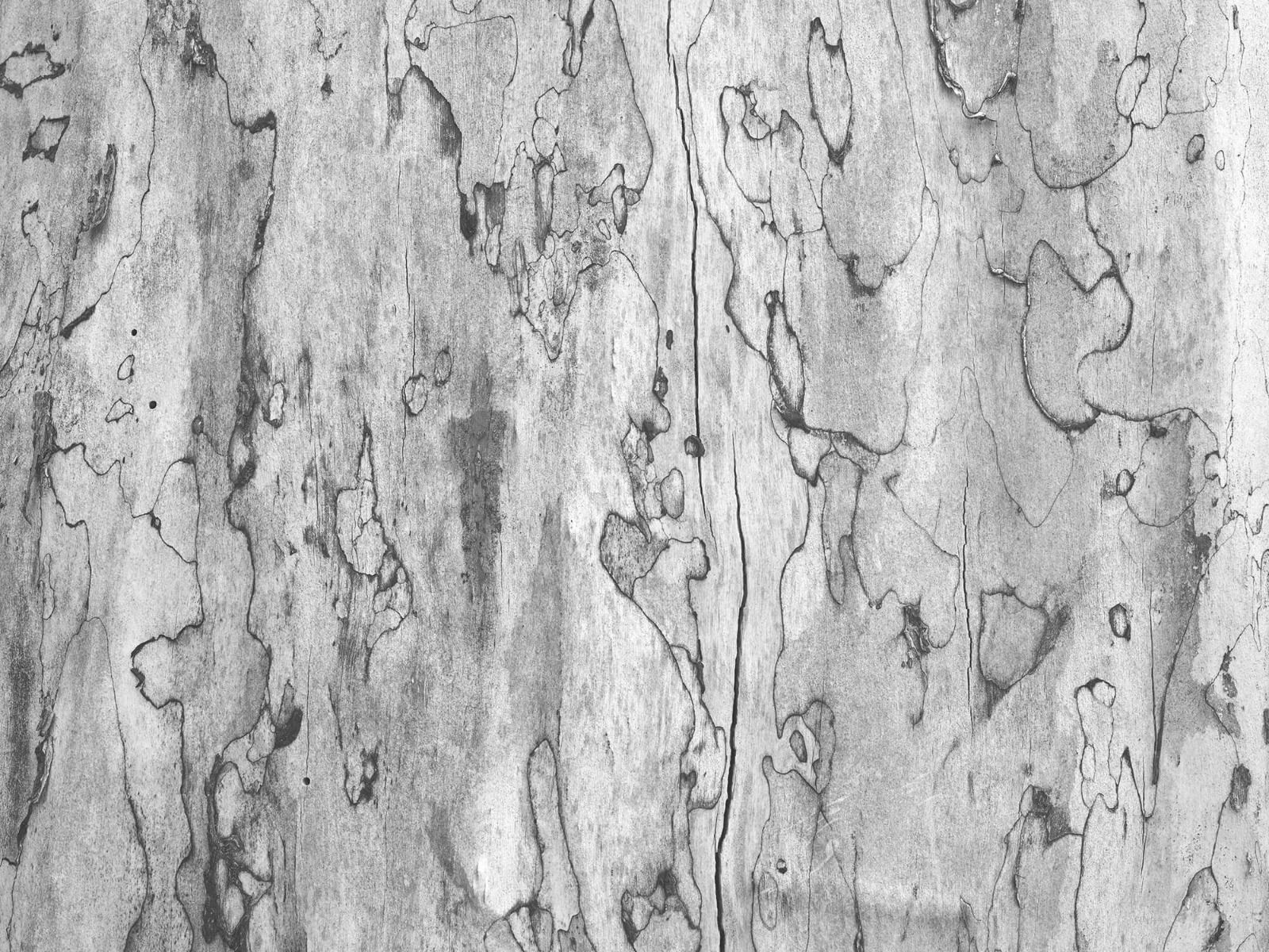 Bark Wallpapers