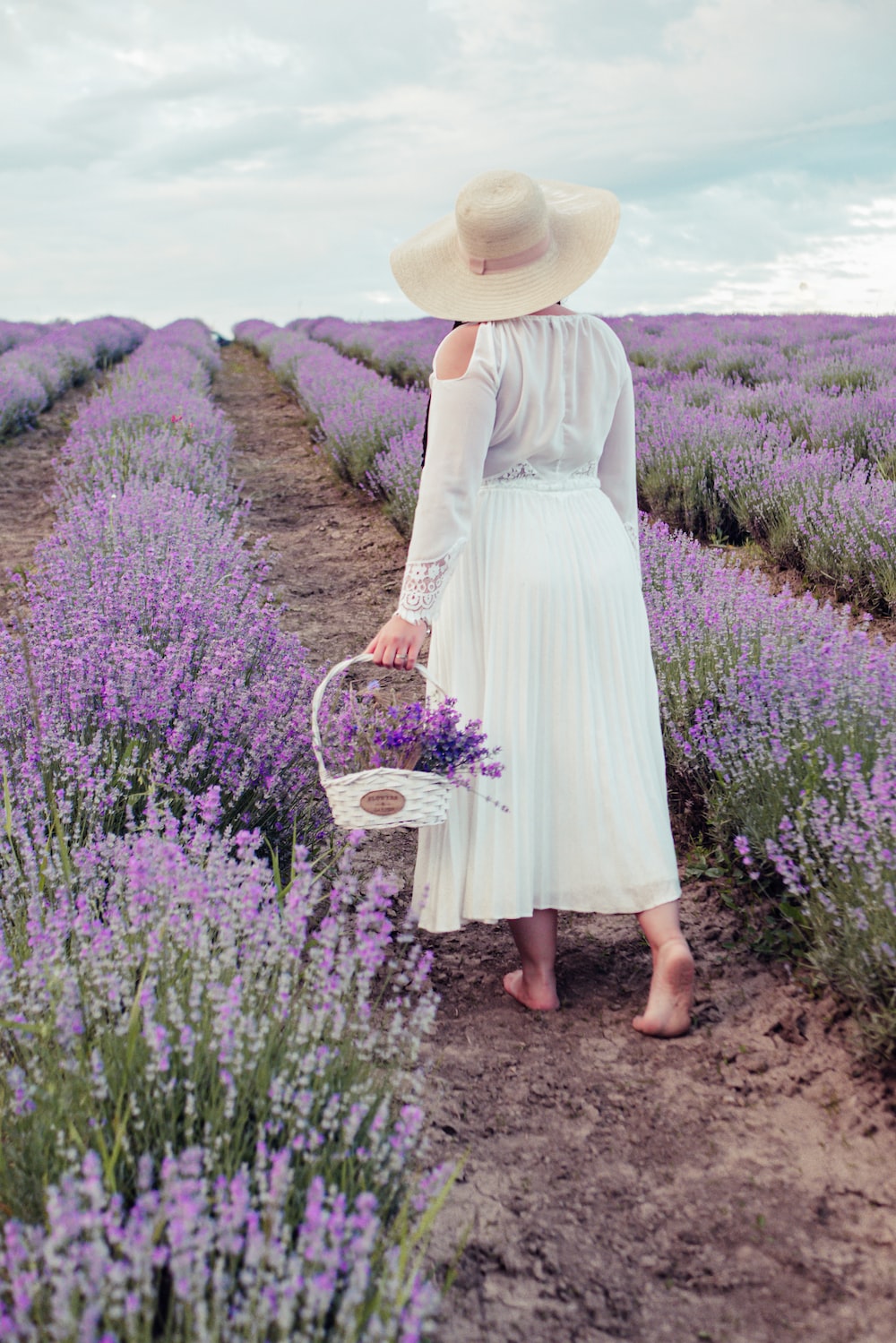 Basket Of Lavender Purple Flower Wallpapers