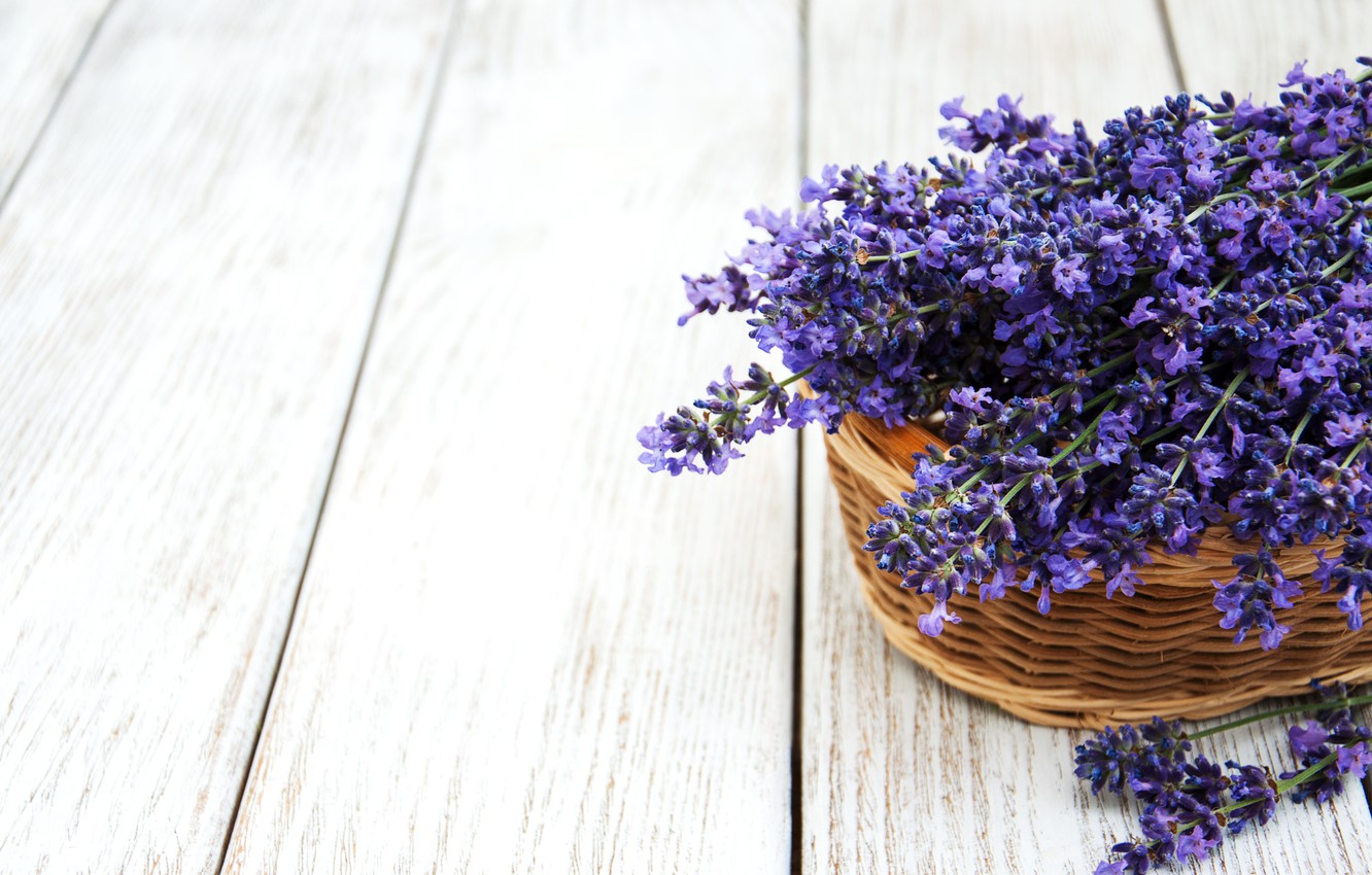 Basket Of Lavender Purple Flower Wallpapers