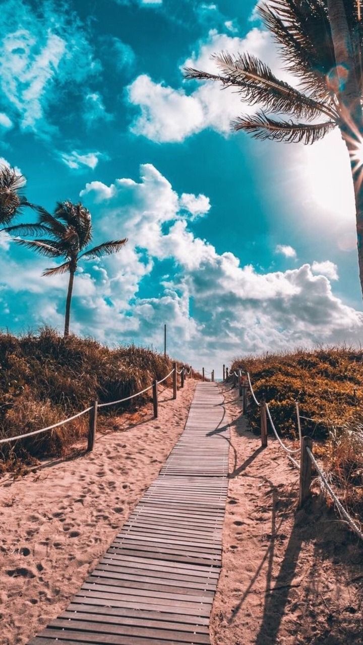 Beach Aesthetic Tumblr Wallpapers