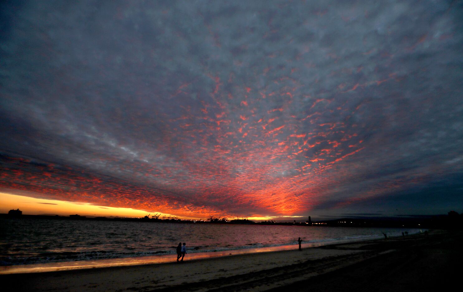 Beach Cloud Earth Horizon Ocean Purple Sea Wallpapers