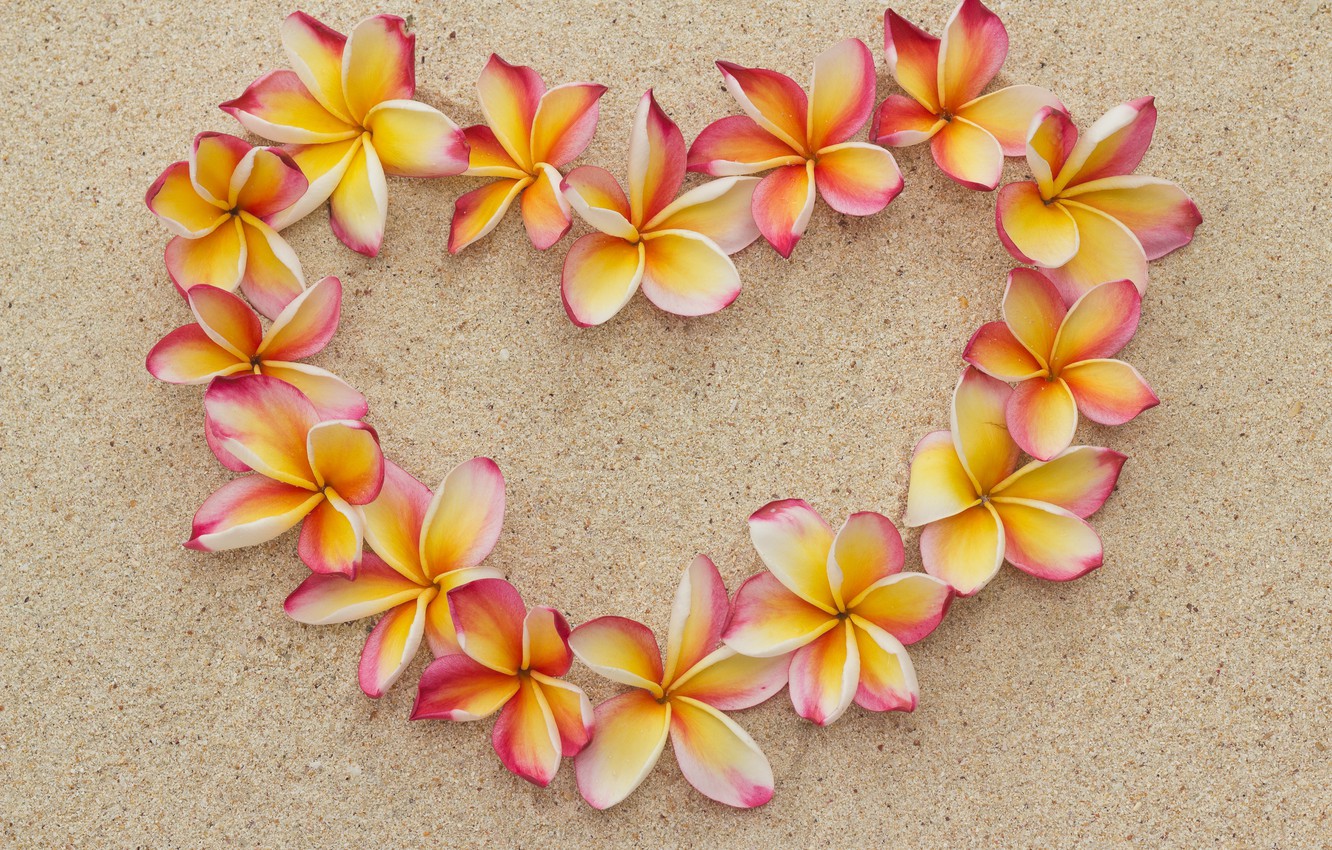 Beach Floral Wallpapers