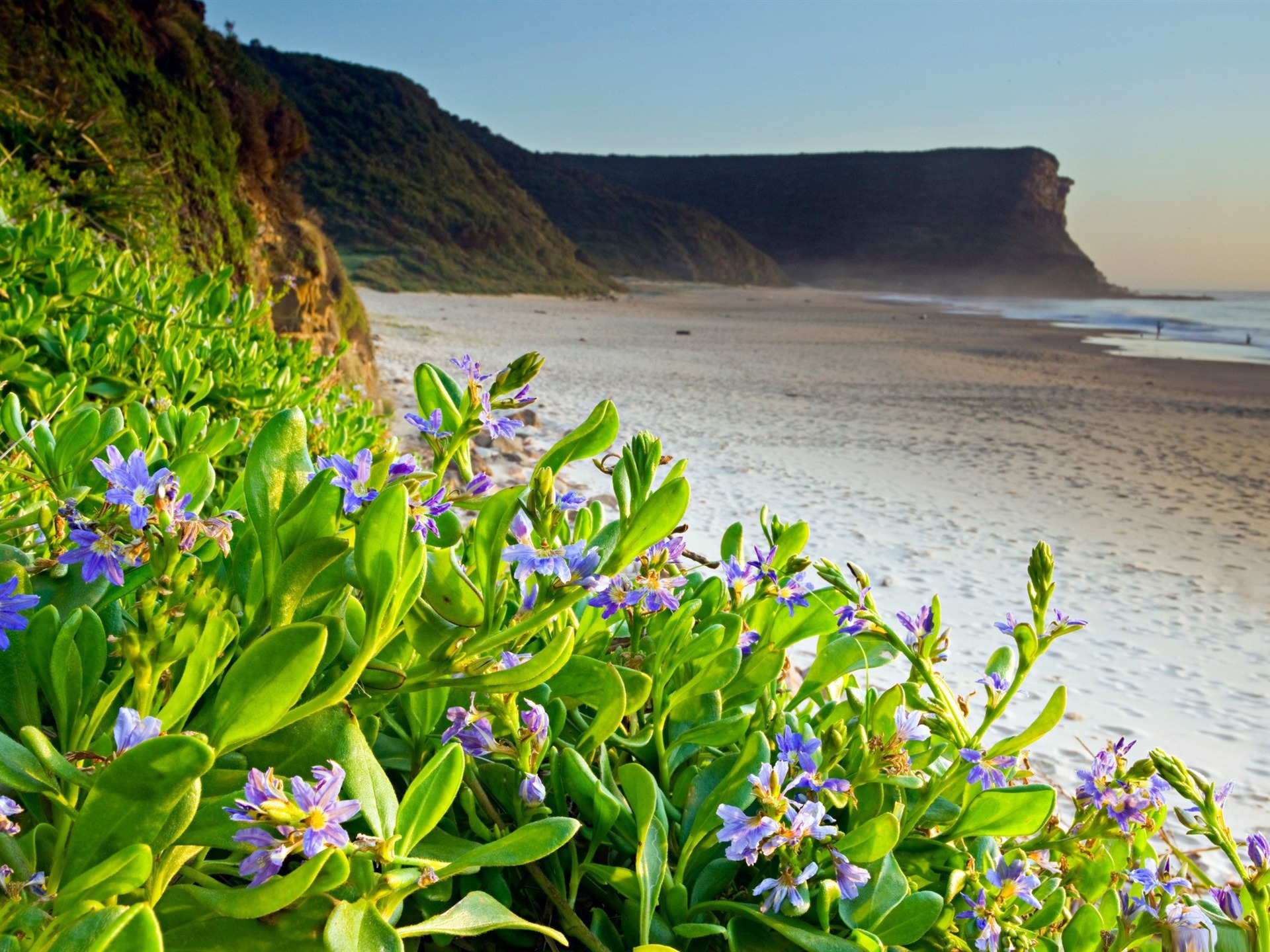 Beach Floral Wallpapers