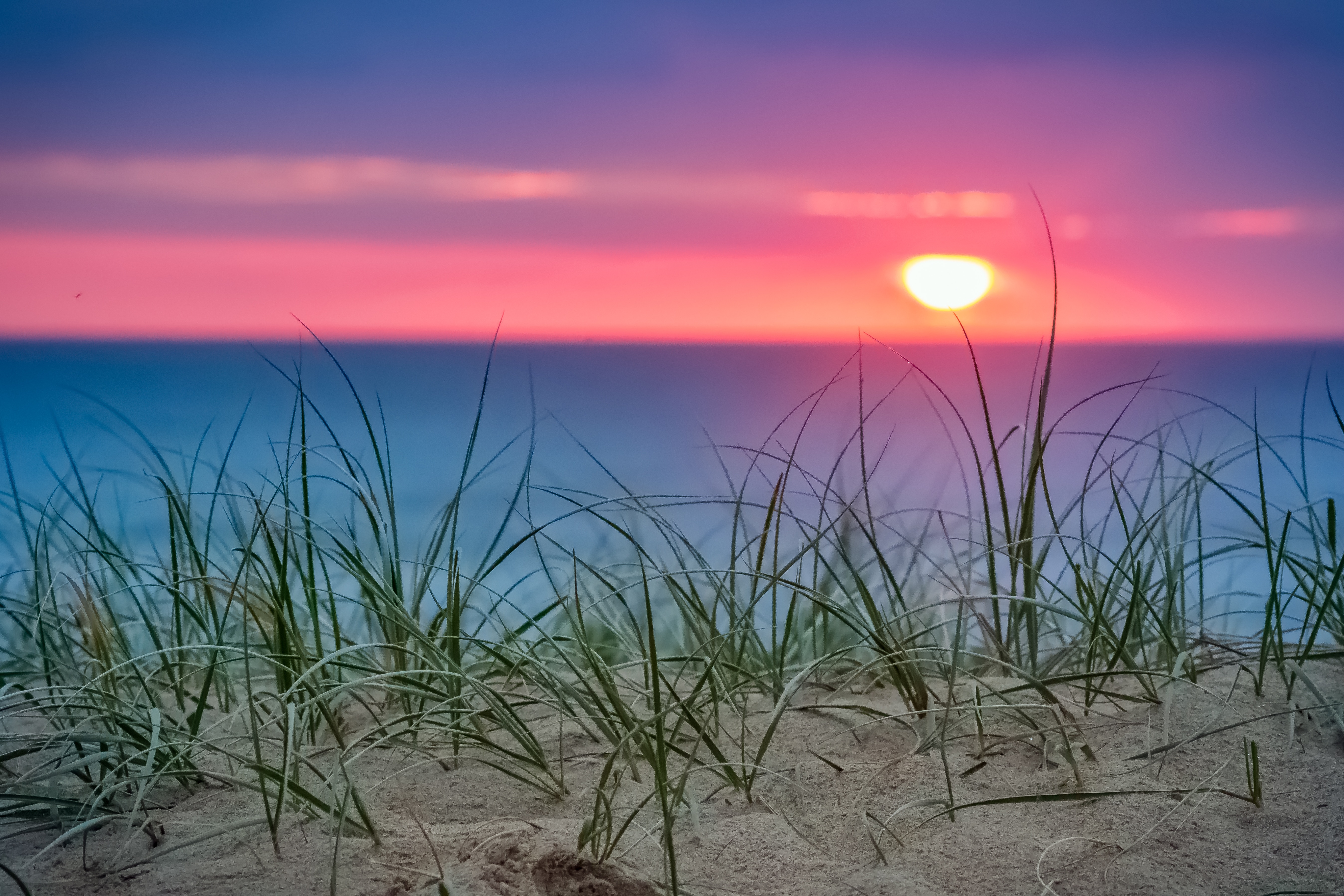 Beach Grass Wallpapers