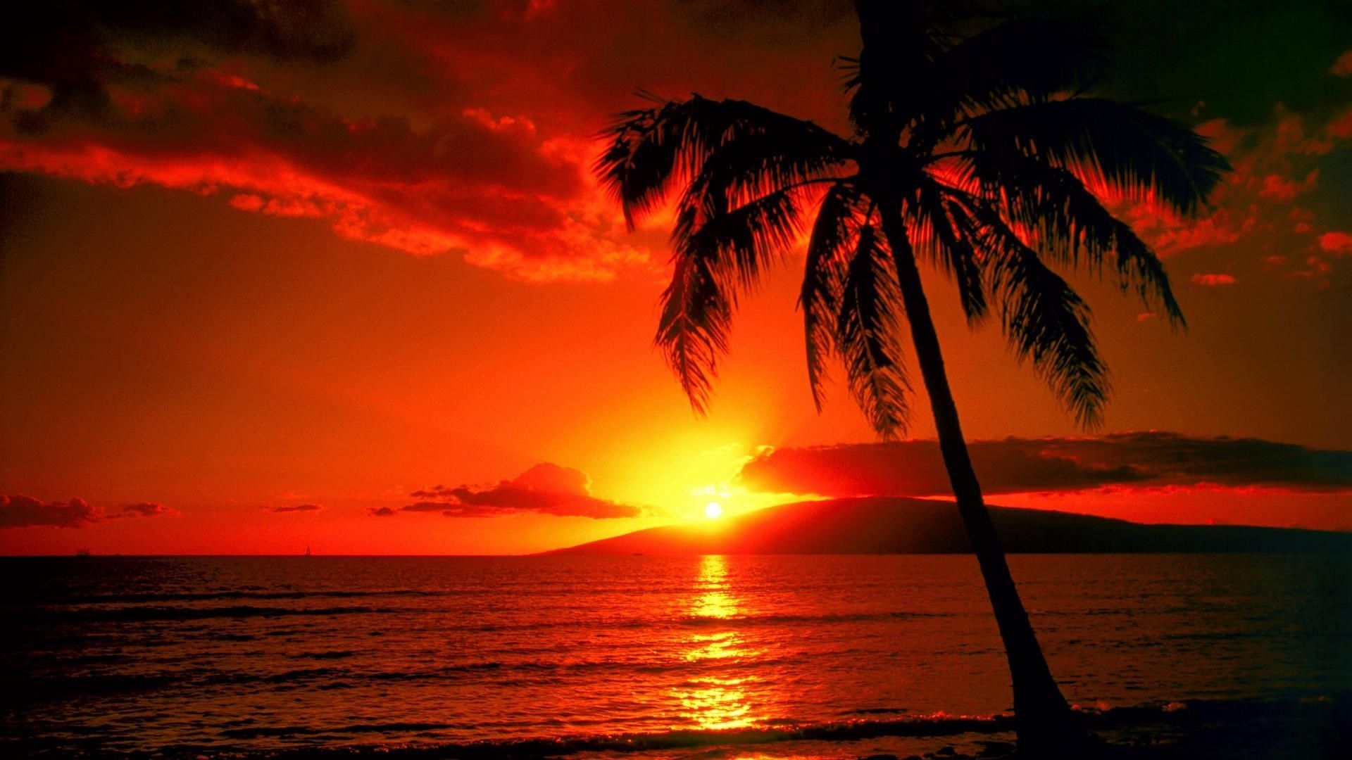 Beach Paradise Sunset Wallpapers