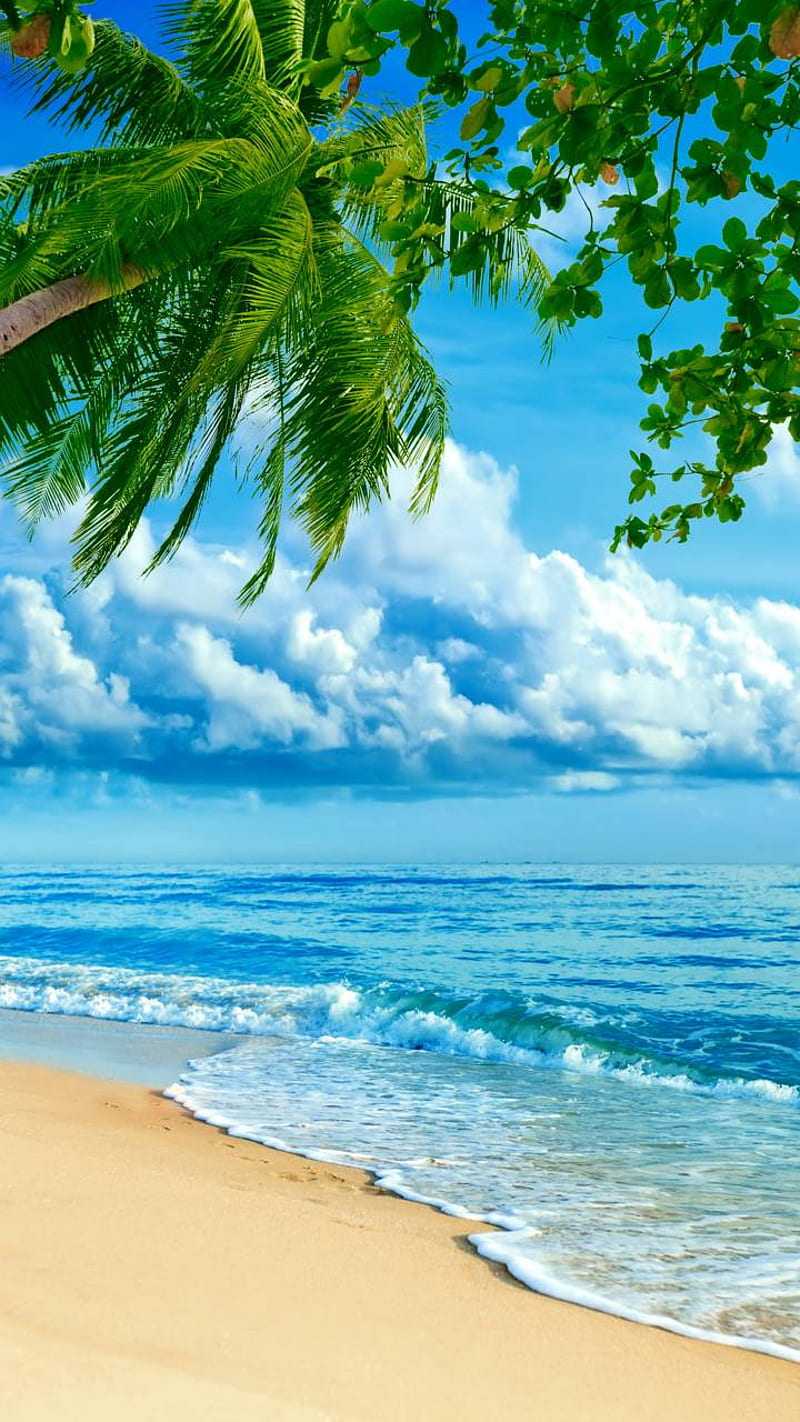 Beach Scene Iphone Wallpapers