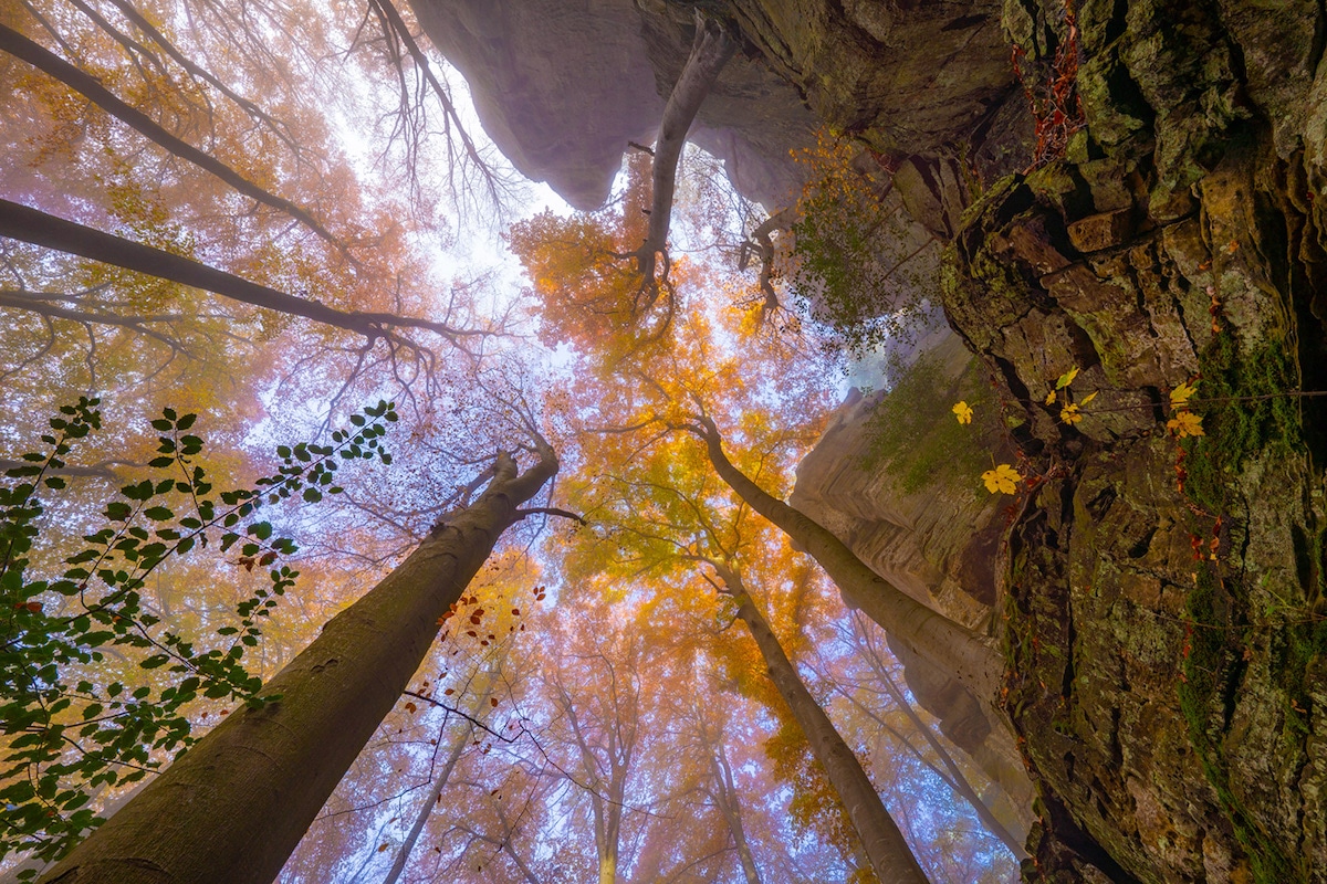 Beautiful Nature Thunderstorm Colorful Forest Wallpapers