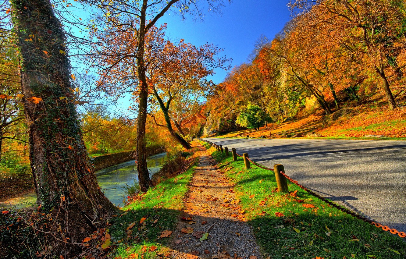 Bejaia Moutains Trees Sunlight Sky Wallpapers