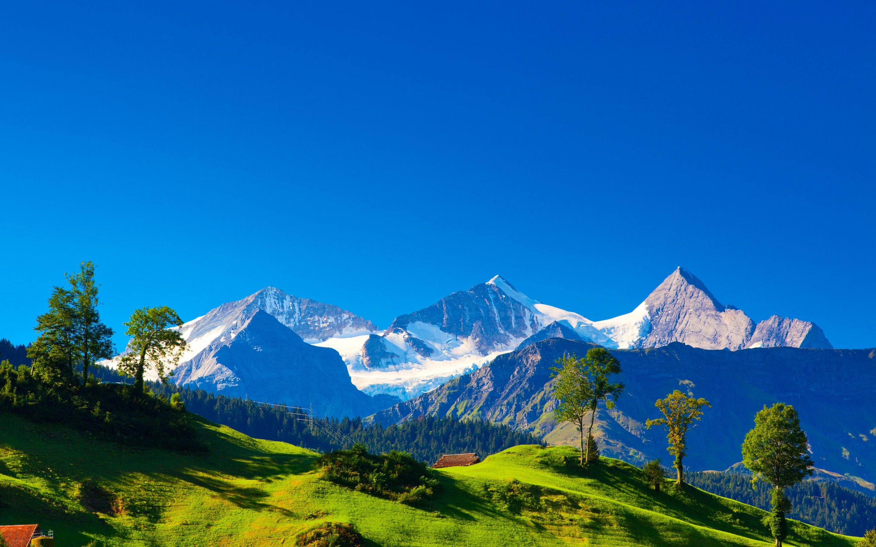 Bernese Alps Switzerland Wallpapers