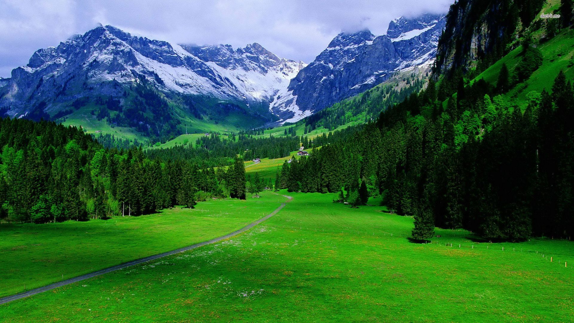 Bernese Alps Switzerland Wallpapers