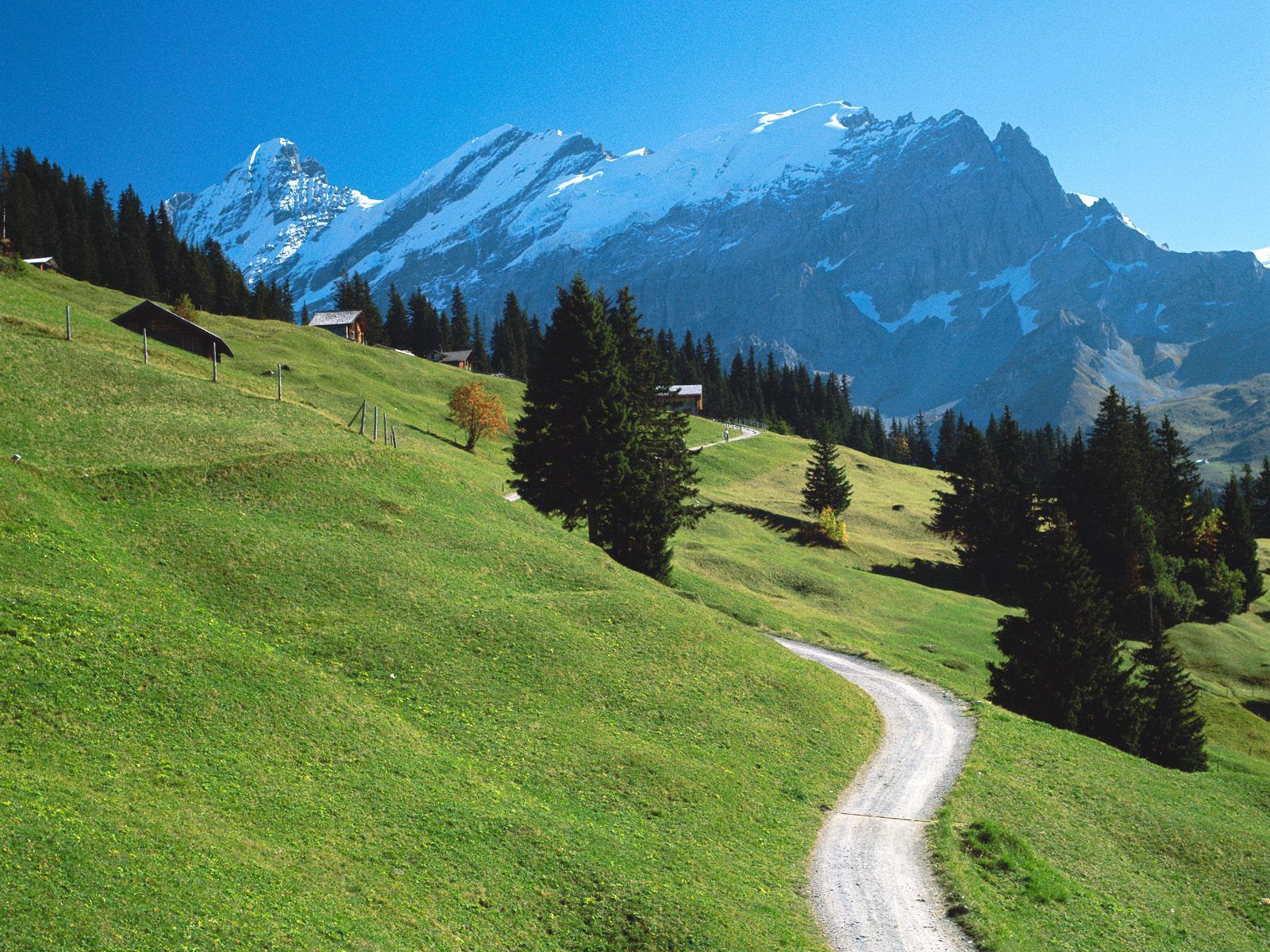 Bernese Alps Switzerland Wallpapers