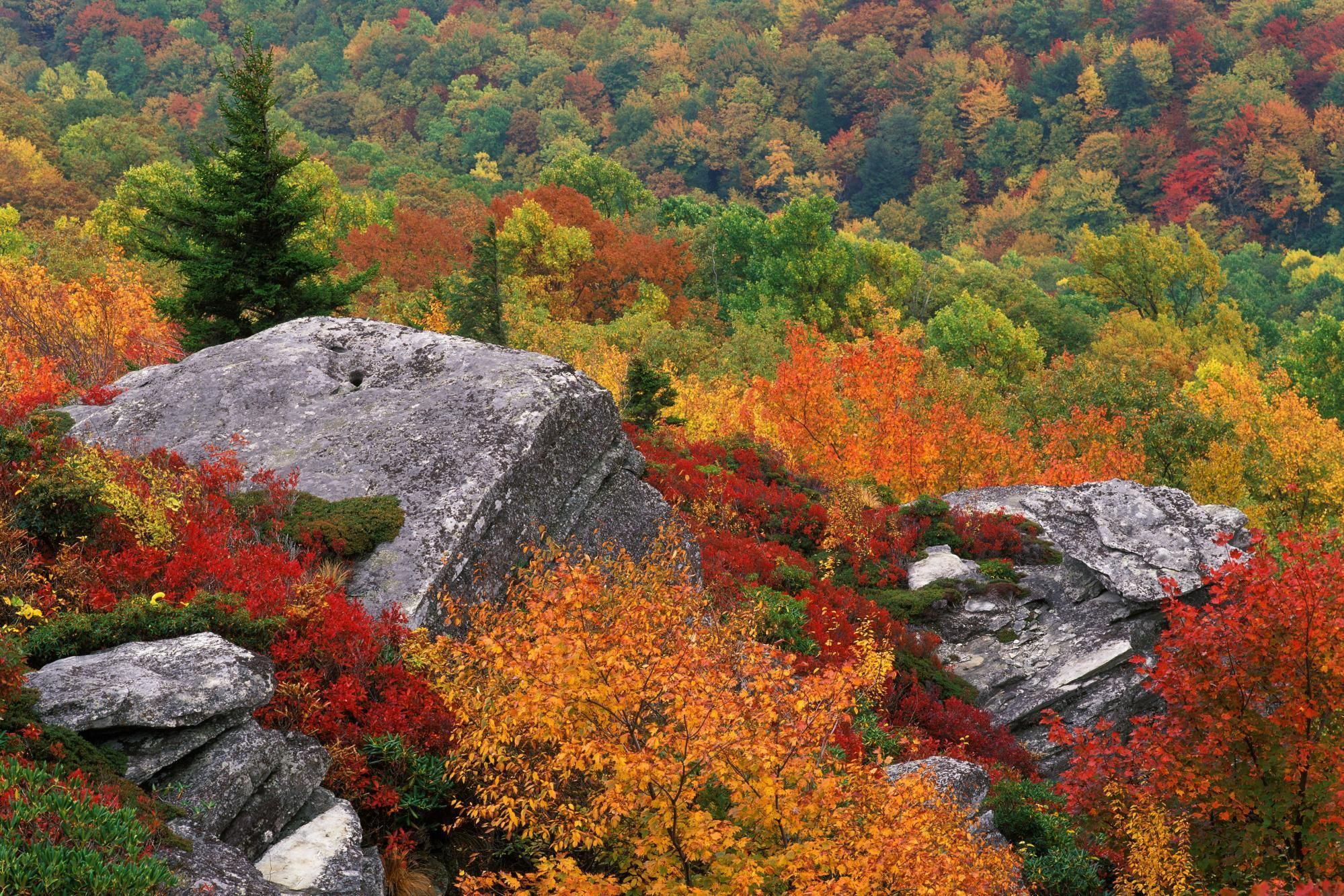 Blue Ridge Parkway Wallpapers