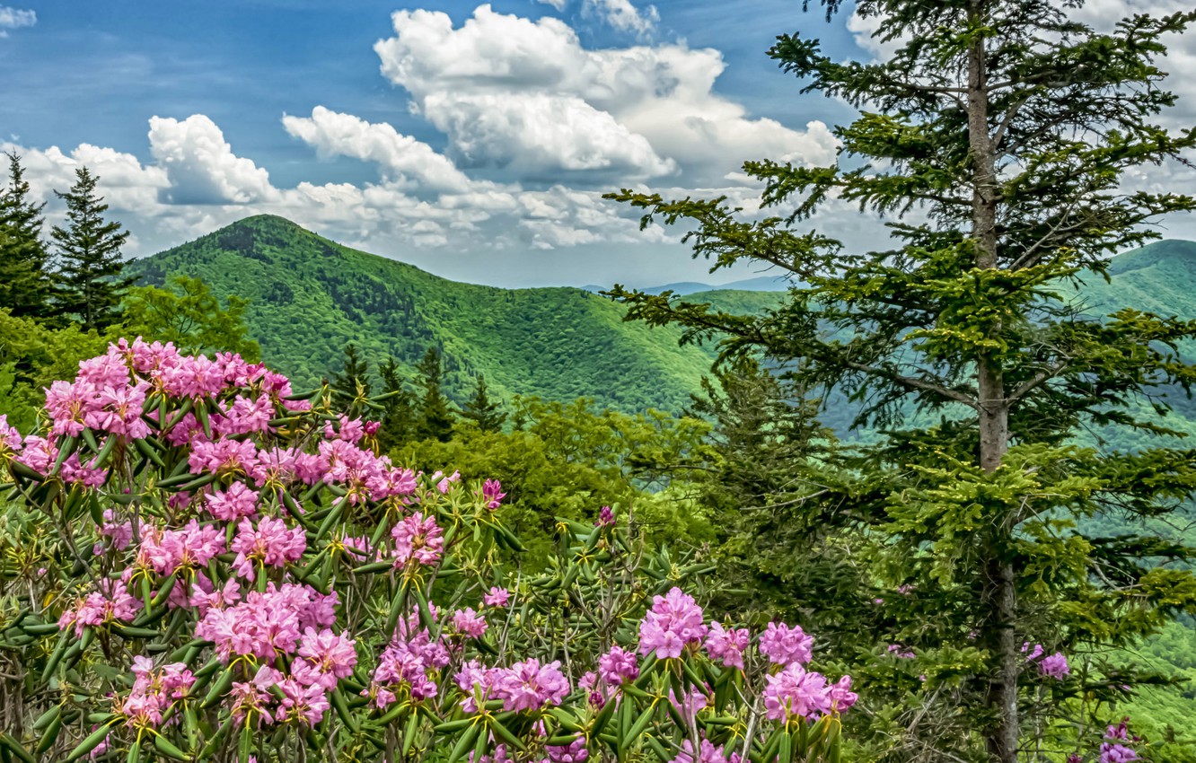 Blue Ridge Parkway Wallpapers