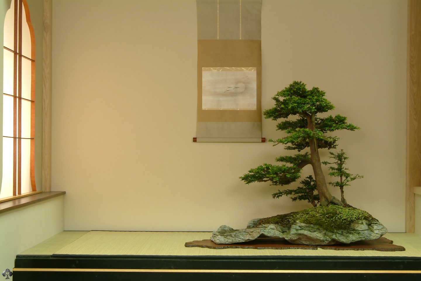 Bonsai Wallpapers