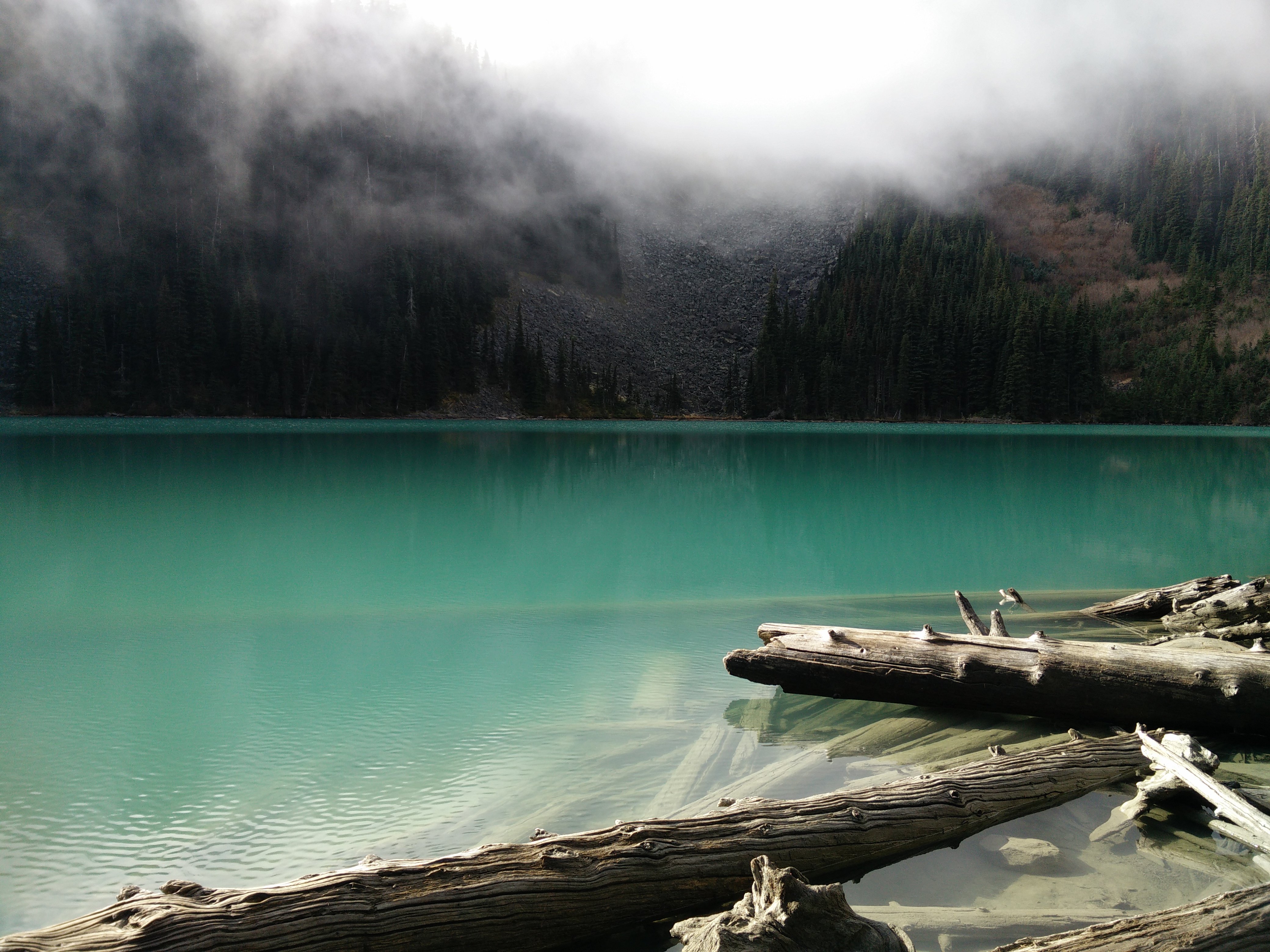 British Columbia Foggy Forest Wallpapers